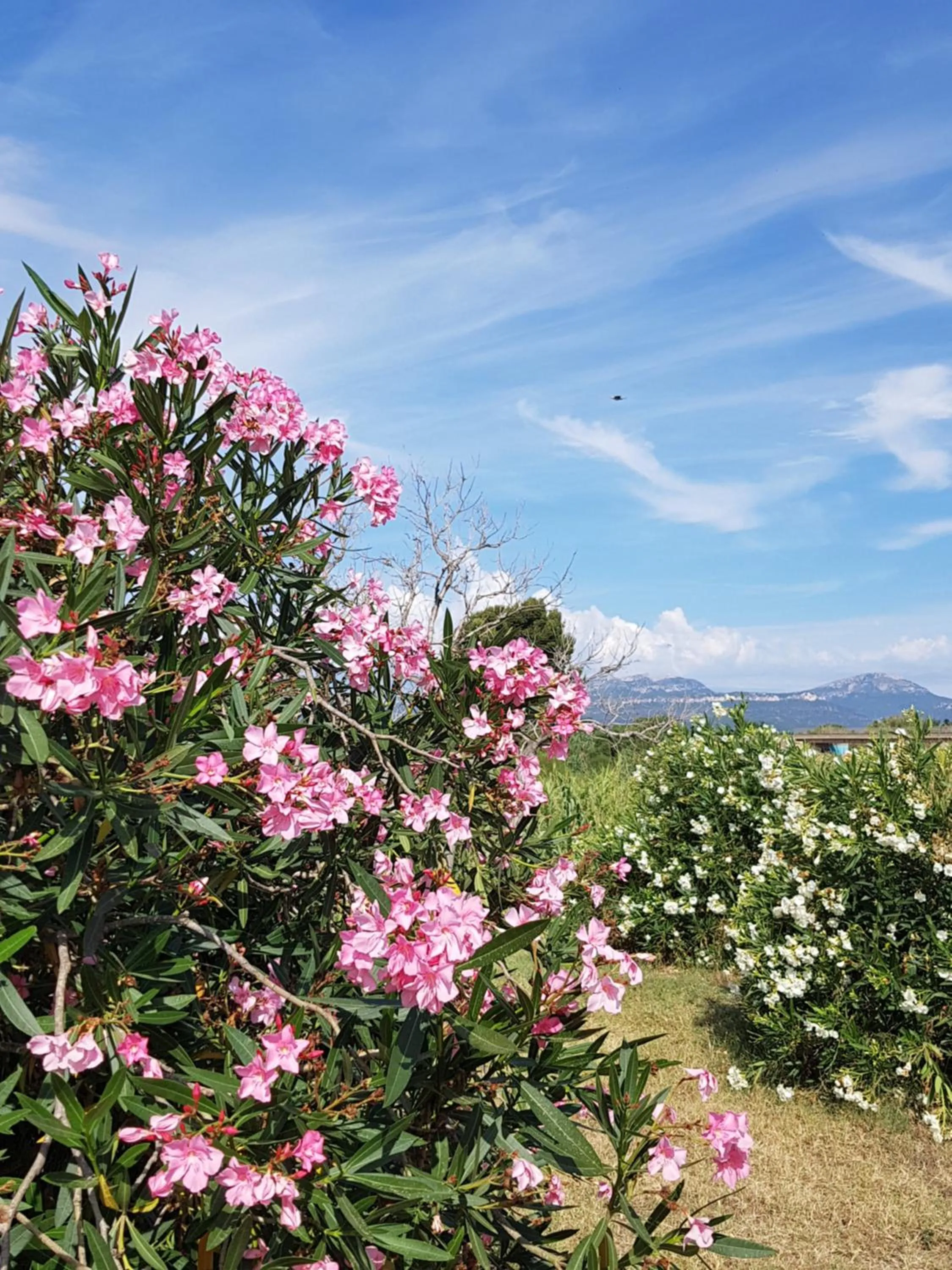 Méditerranée Room VILLA BLANCA Cambrils