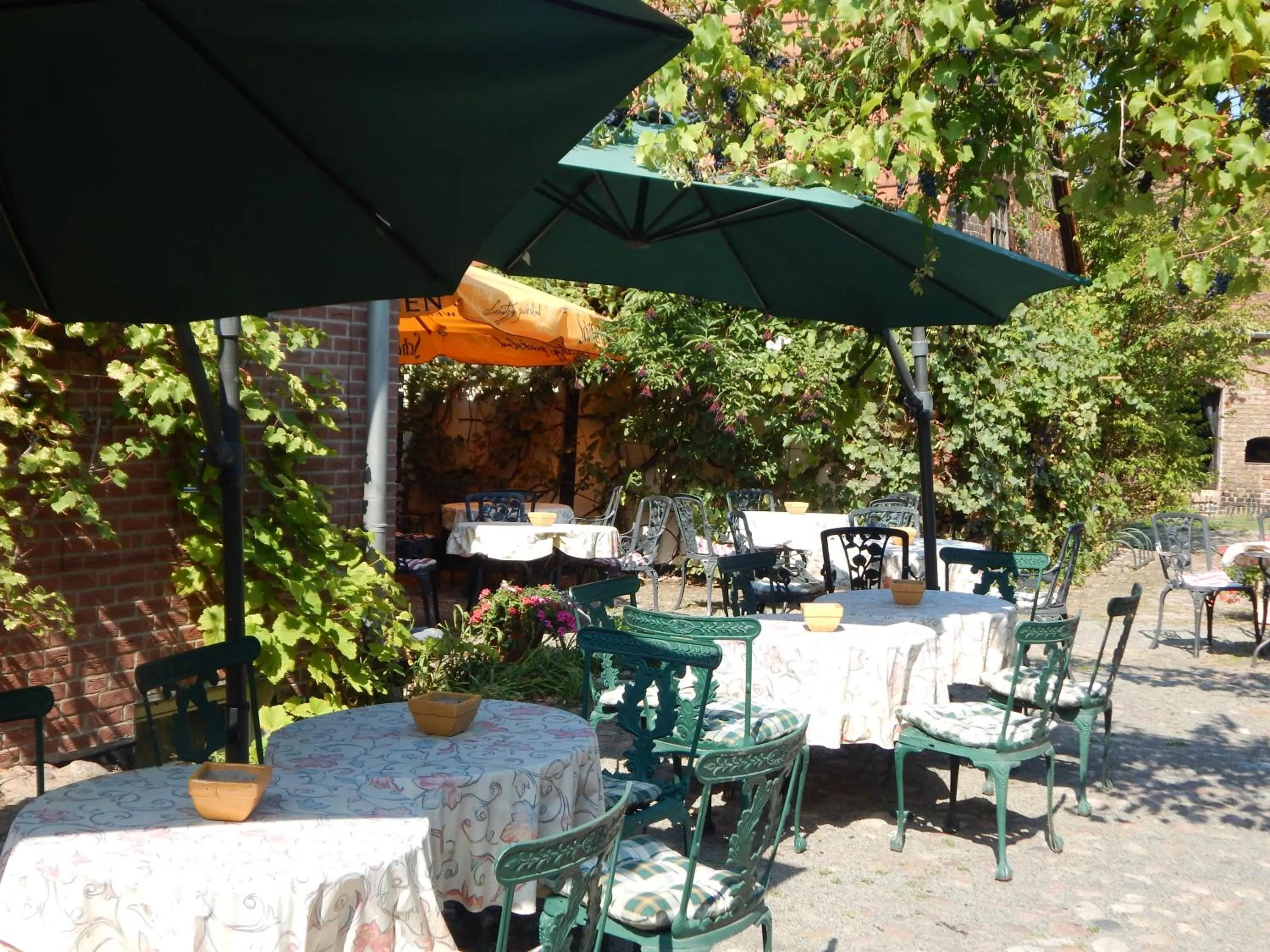Balcony/Terrace in Hotel Alte Försterei