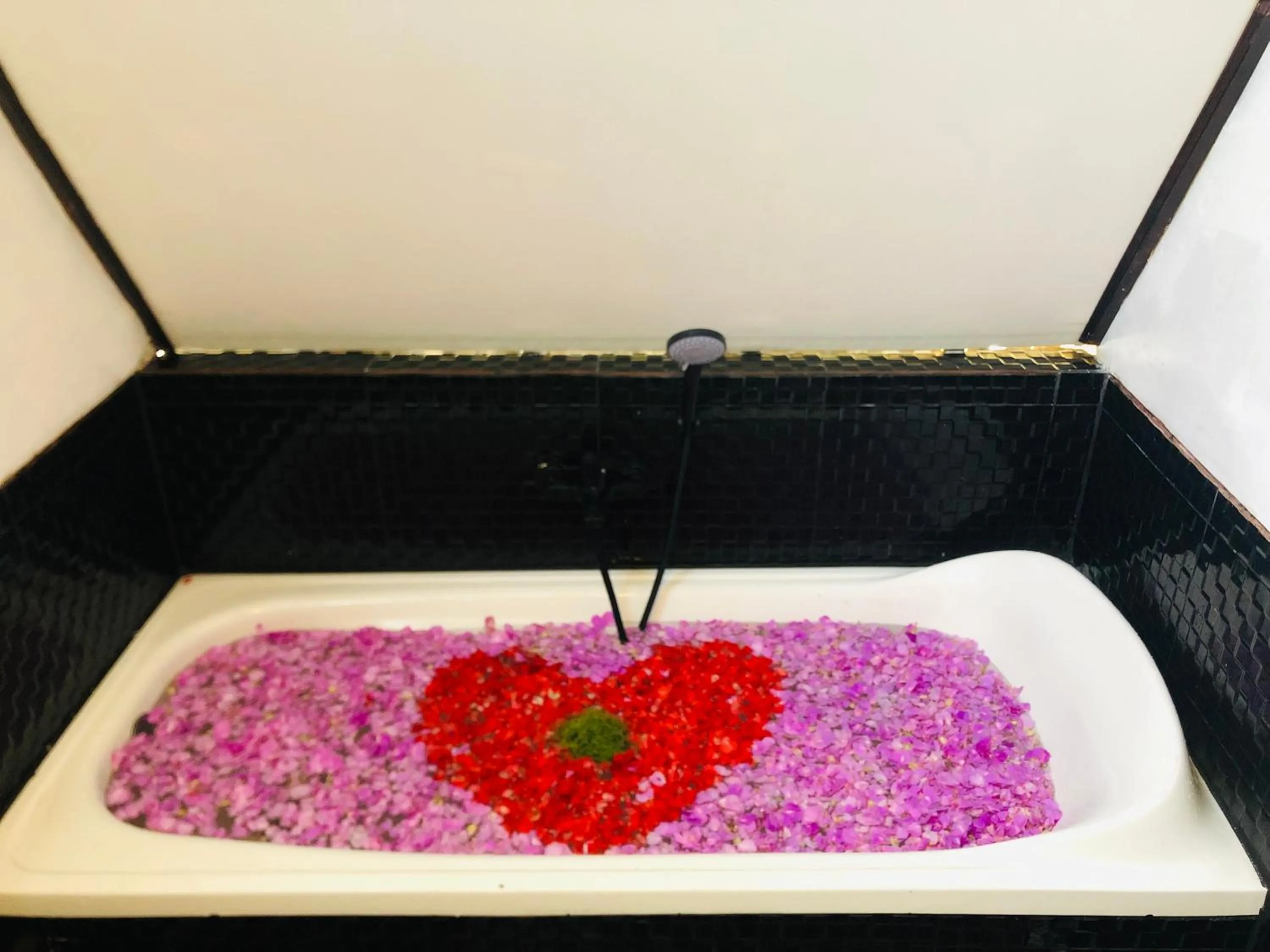 Batur Homestay and Lodge