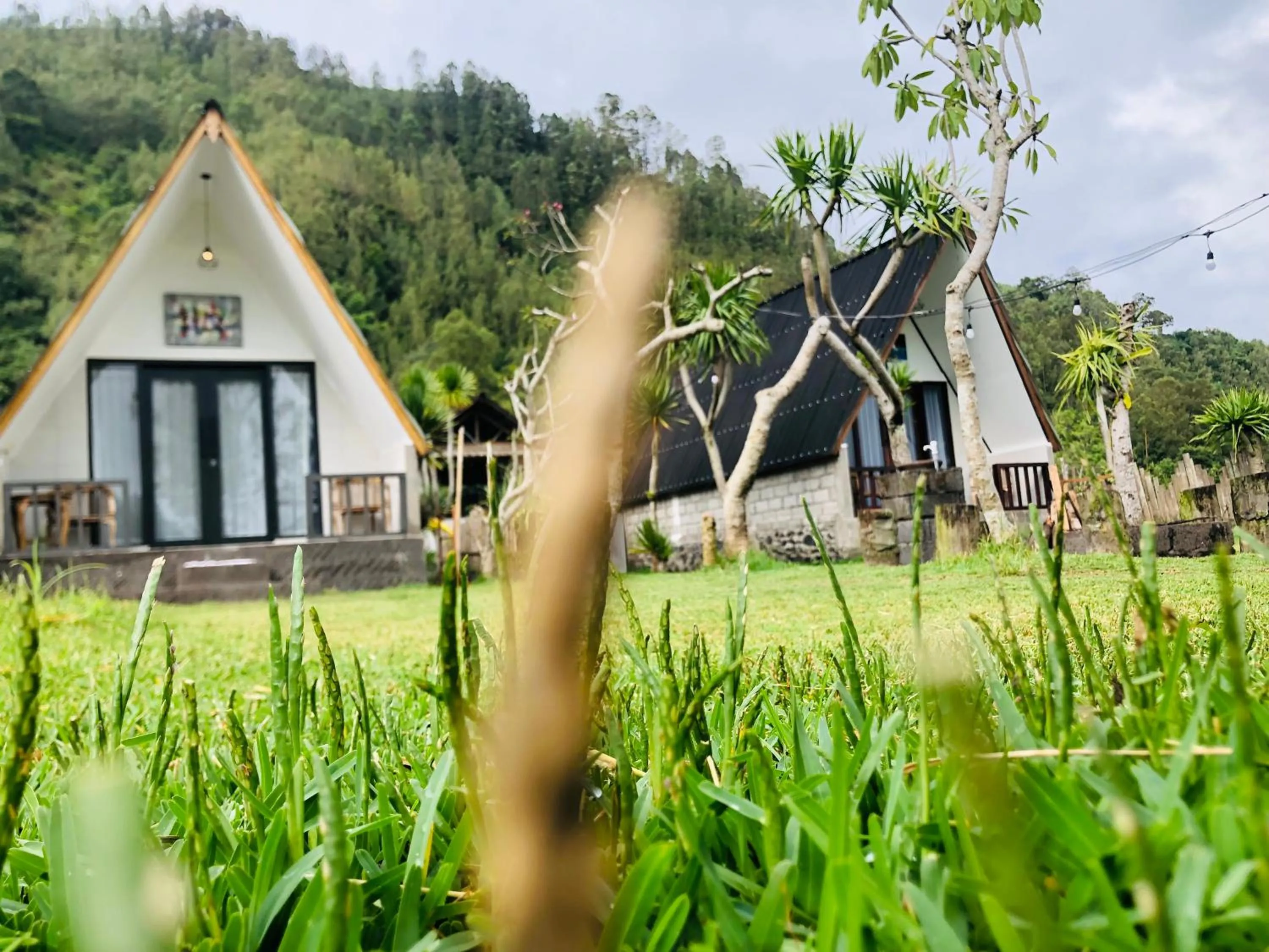 Batur Homestay and Lodge