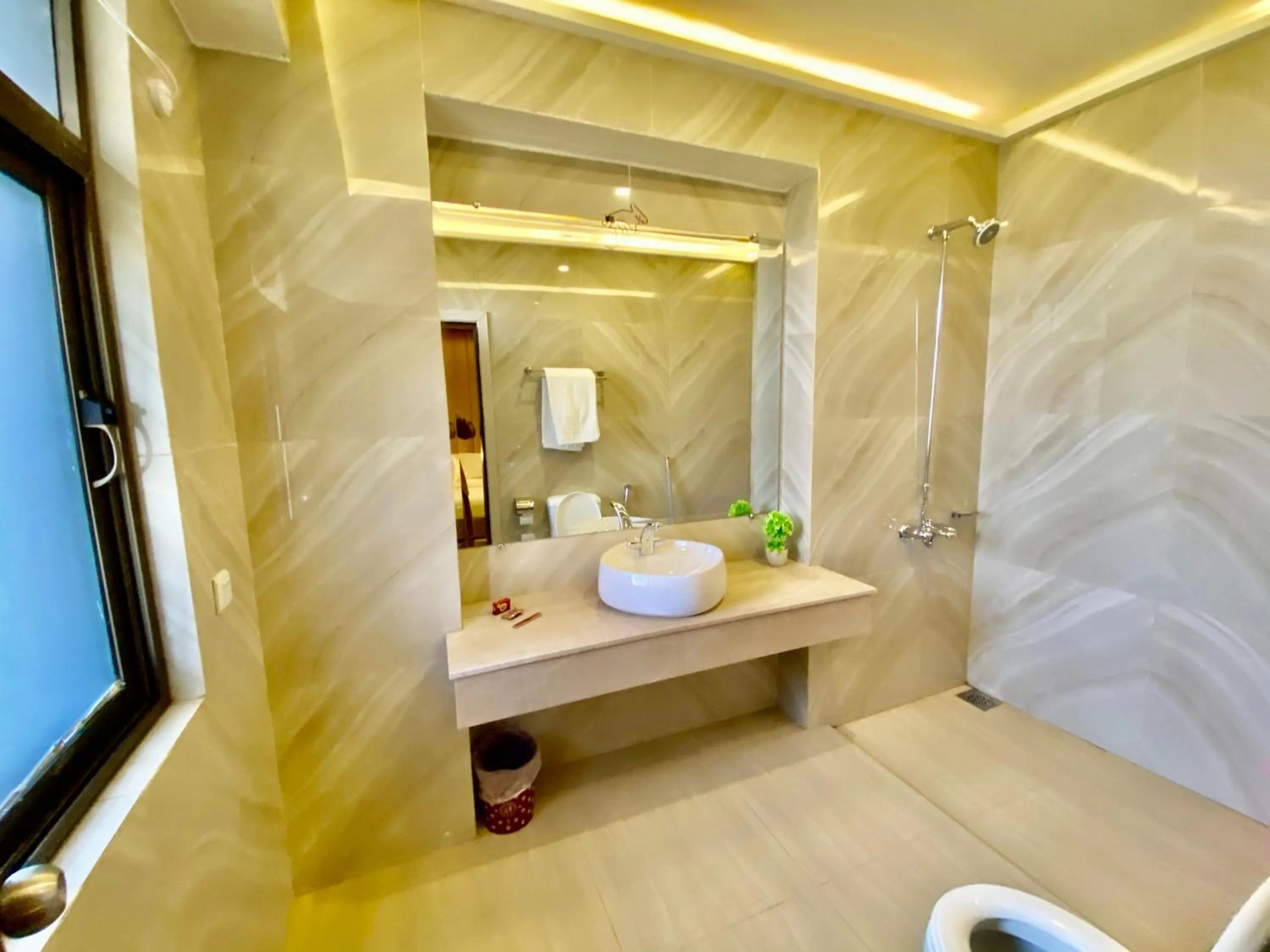 Shelton's Ambassador