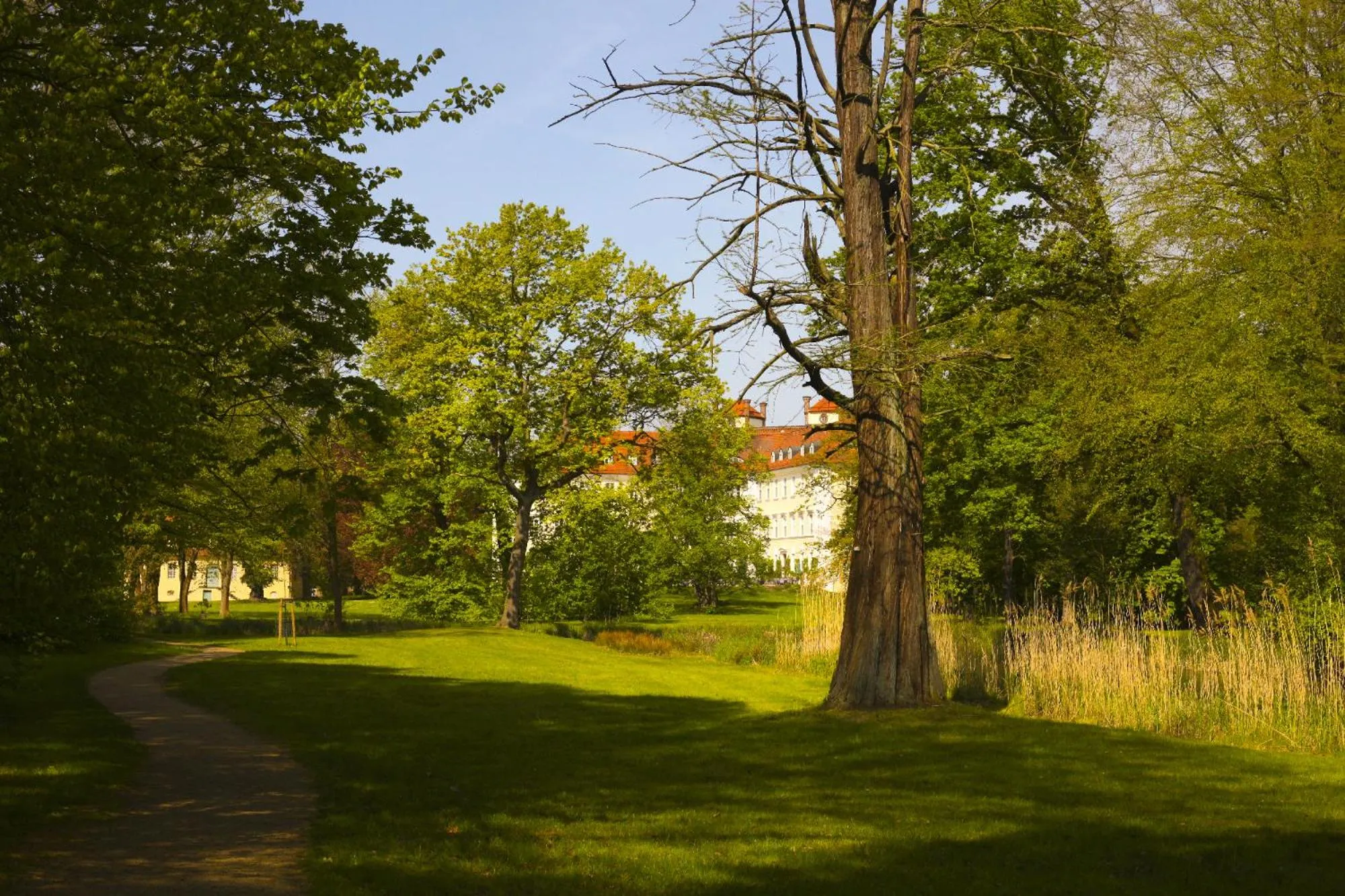 Garden in Schloss Lübbenau