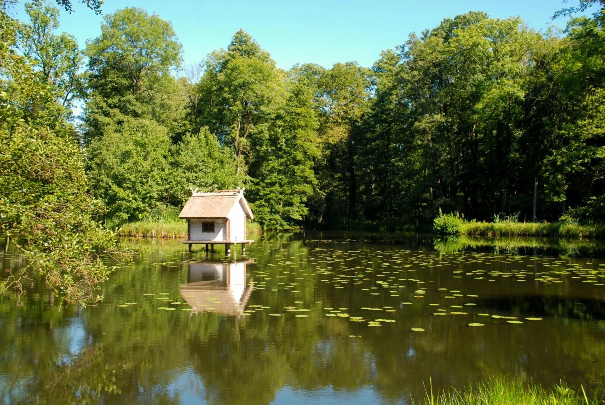 Garden in Schloss Lübbenau