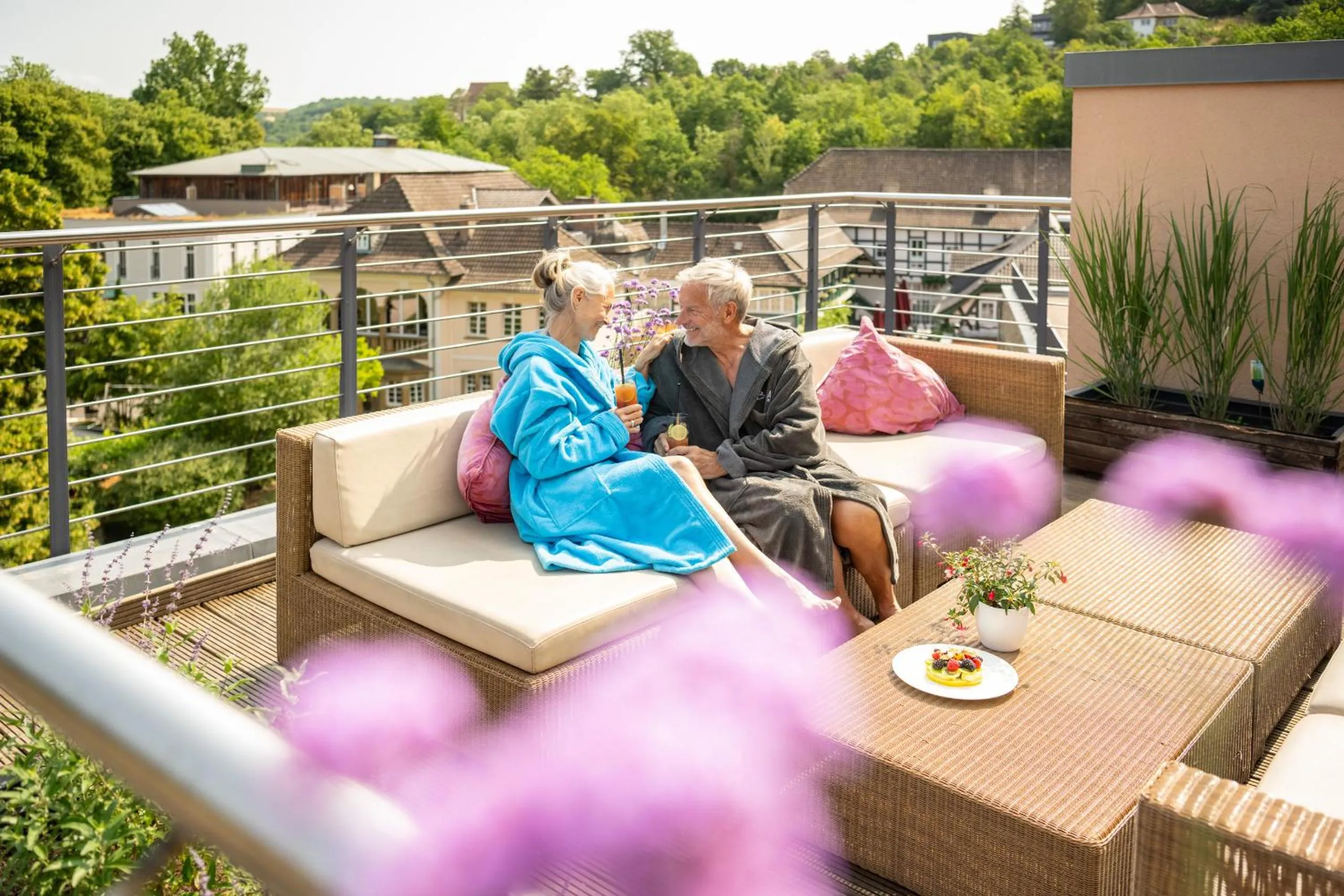View (from property/room) in Bollants SPA im Park, Autograph Collection