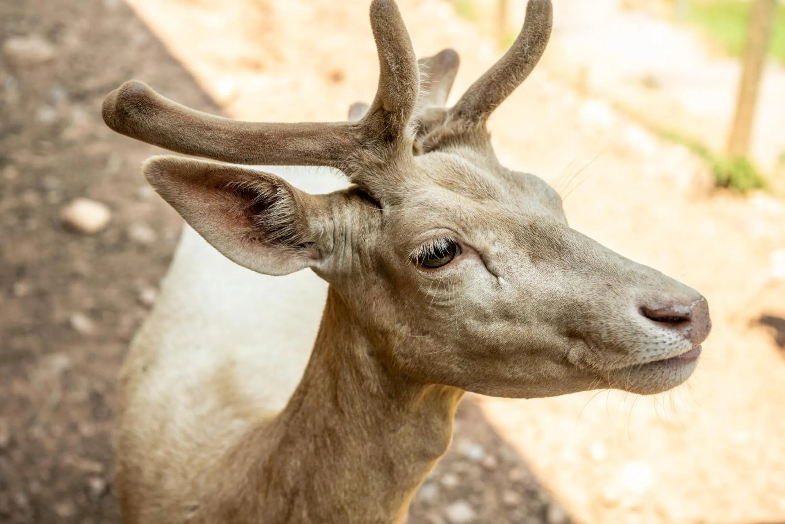 Spa and wellness centre/facilities in Bollants SPA im Park, Autograph Collection