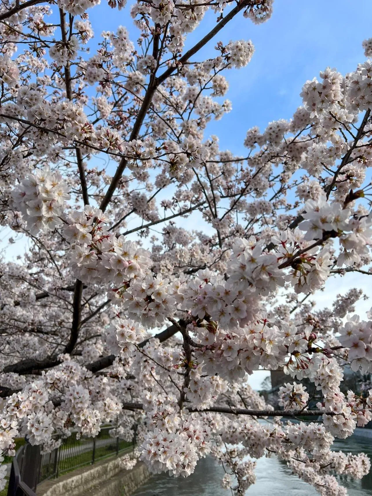 Nearby landmark in Rinn Niomon