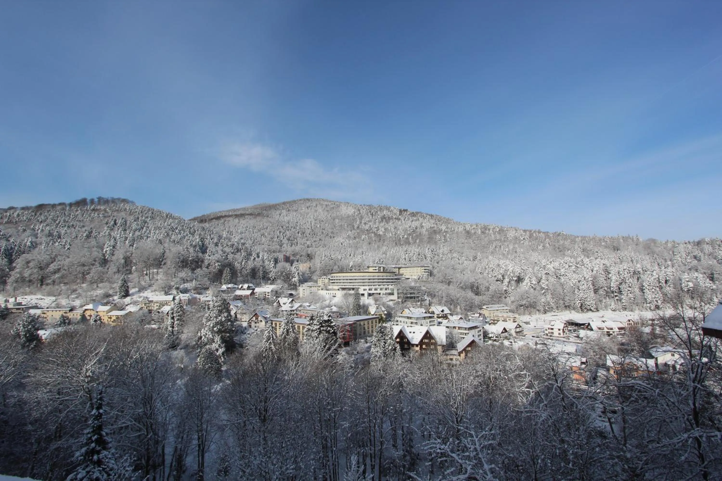 Staff in Schwarzwald Panorama