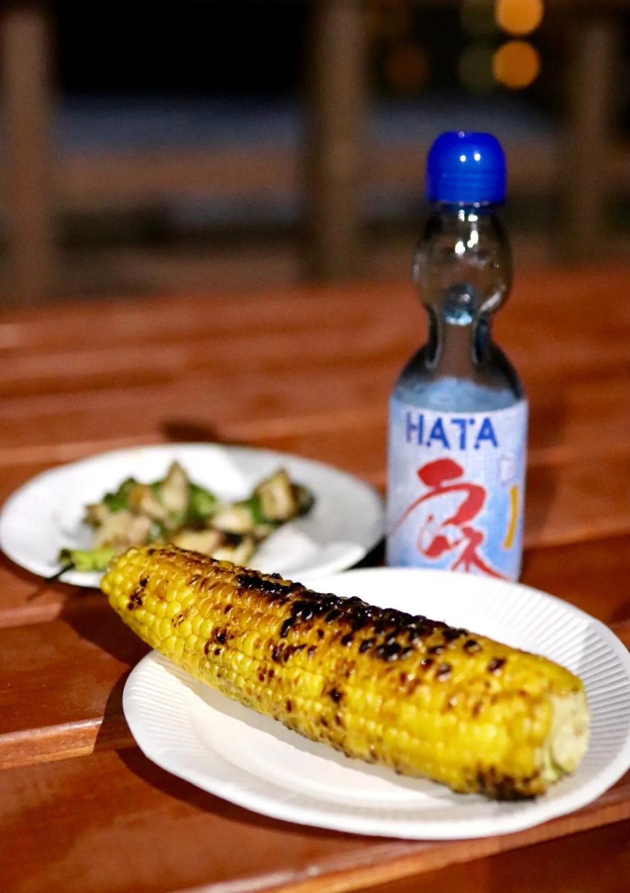 BBQ facilities in Guesthouse All you need - All rooms have an ocean view!