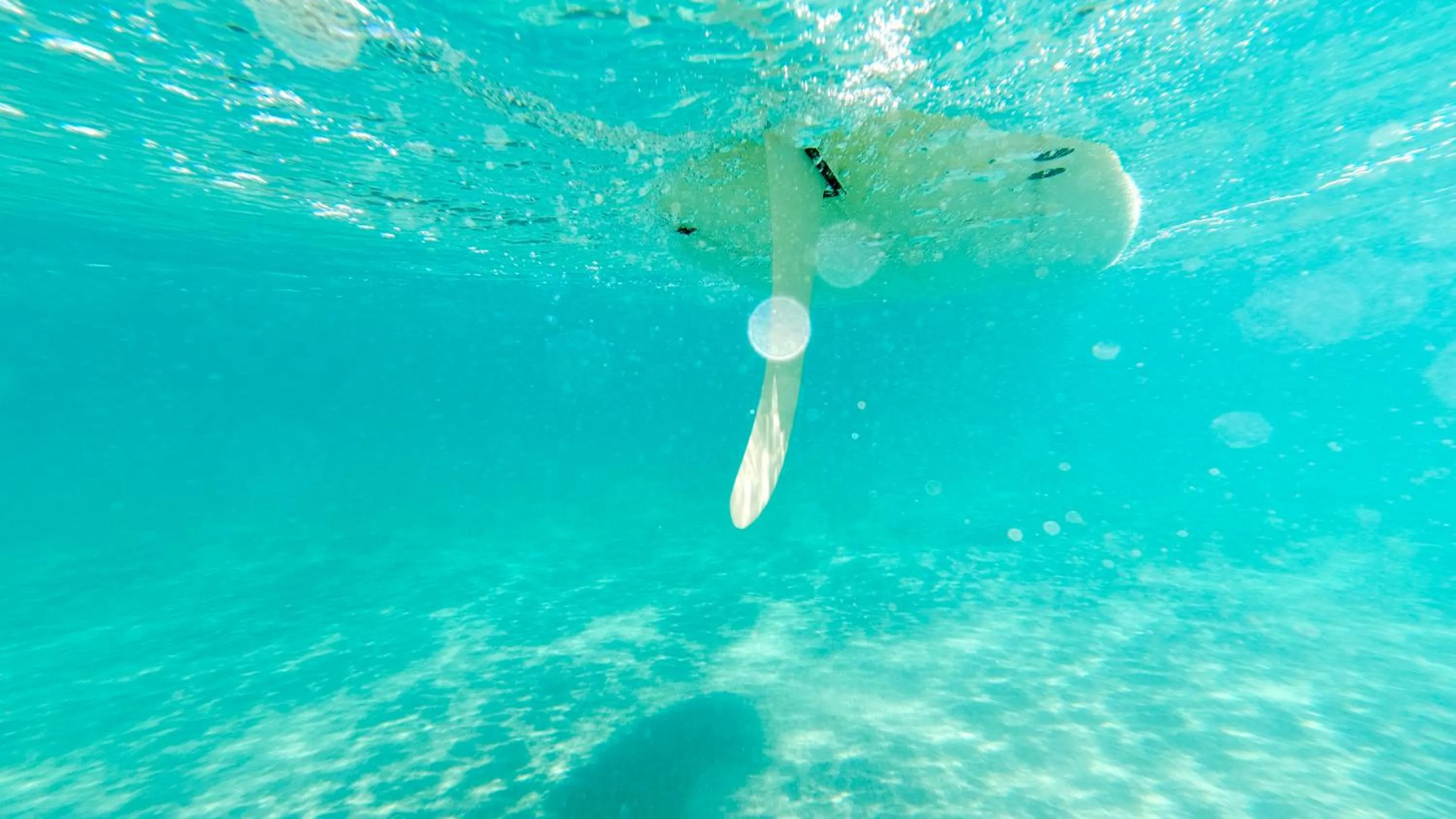 Activities in Guesthouse All you need - All rooms have an ocean view!