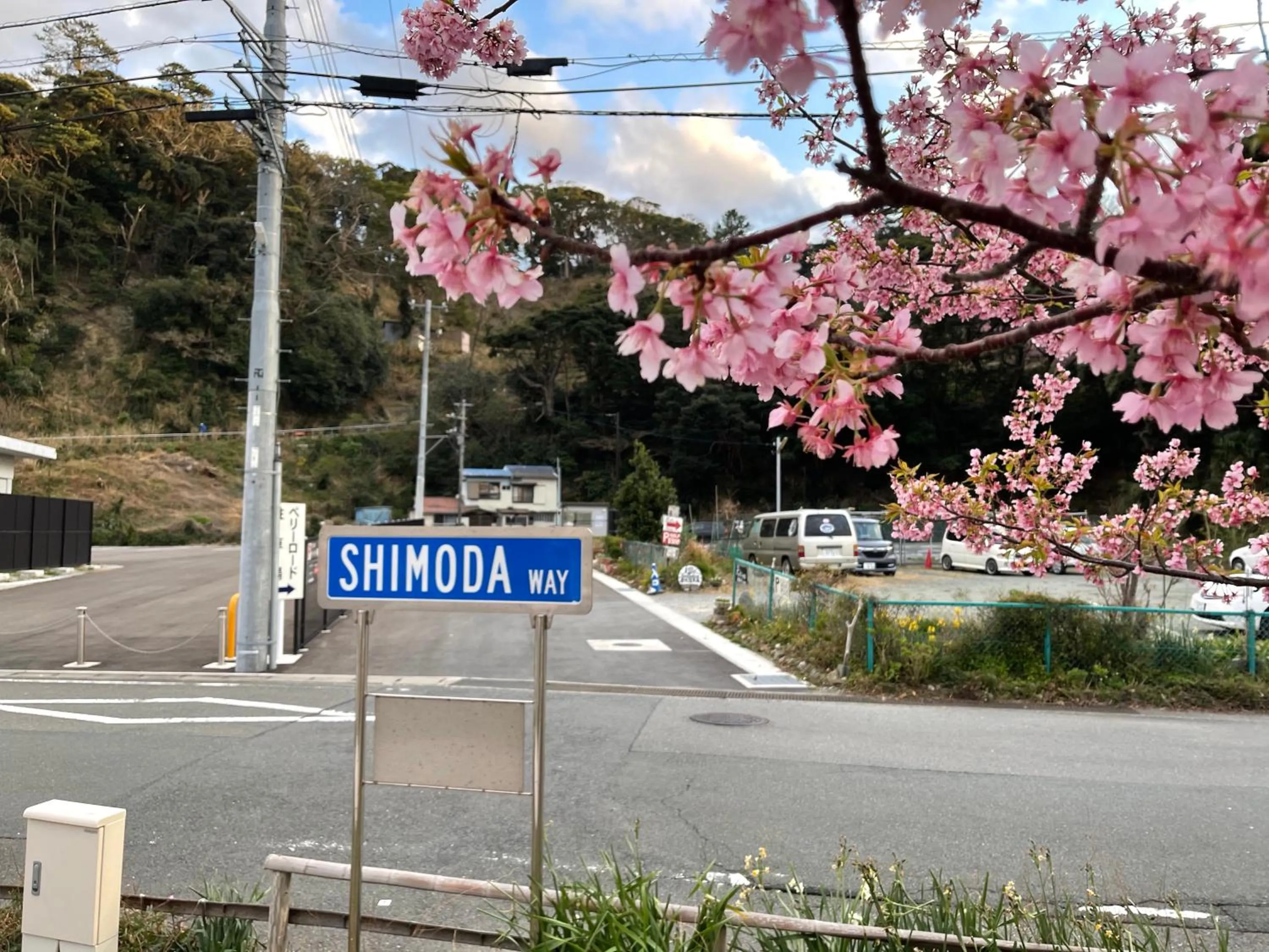 Neighbourhood in Guesthouse All you need - All rooms have an ocean view!