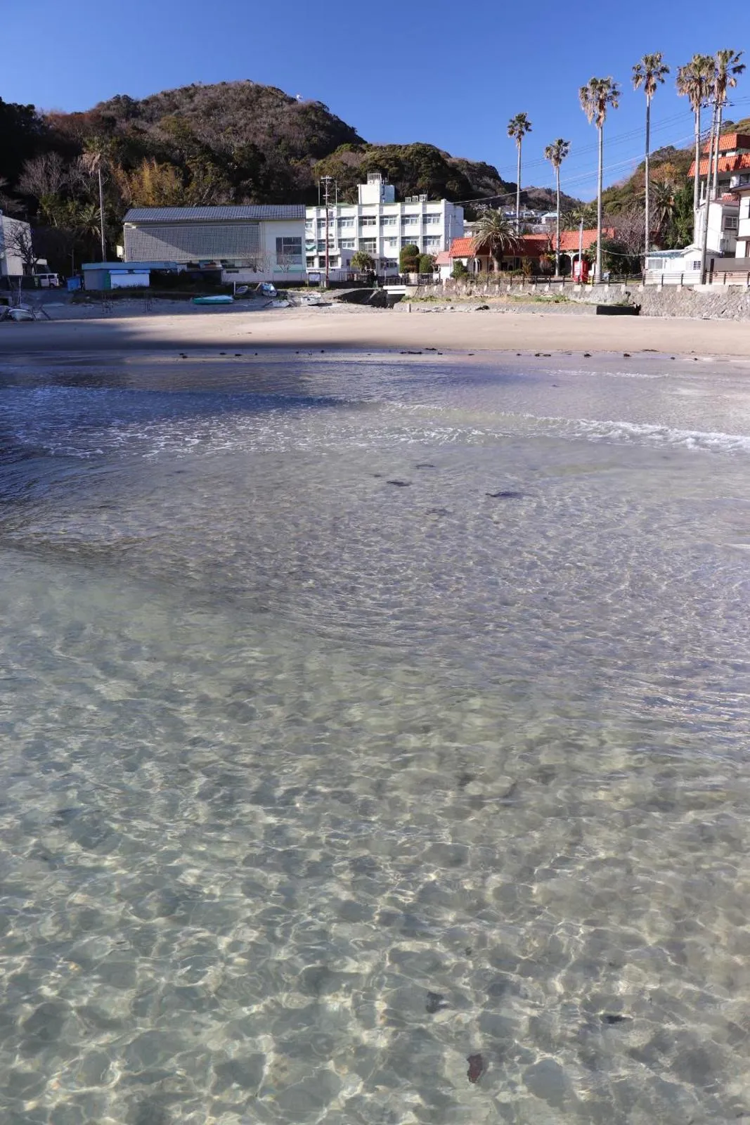 Snorkeling in Guesthouse All you need - All rooms have an ocean view!