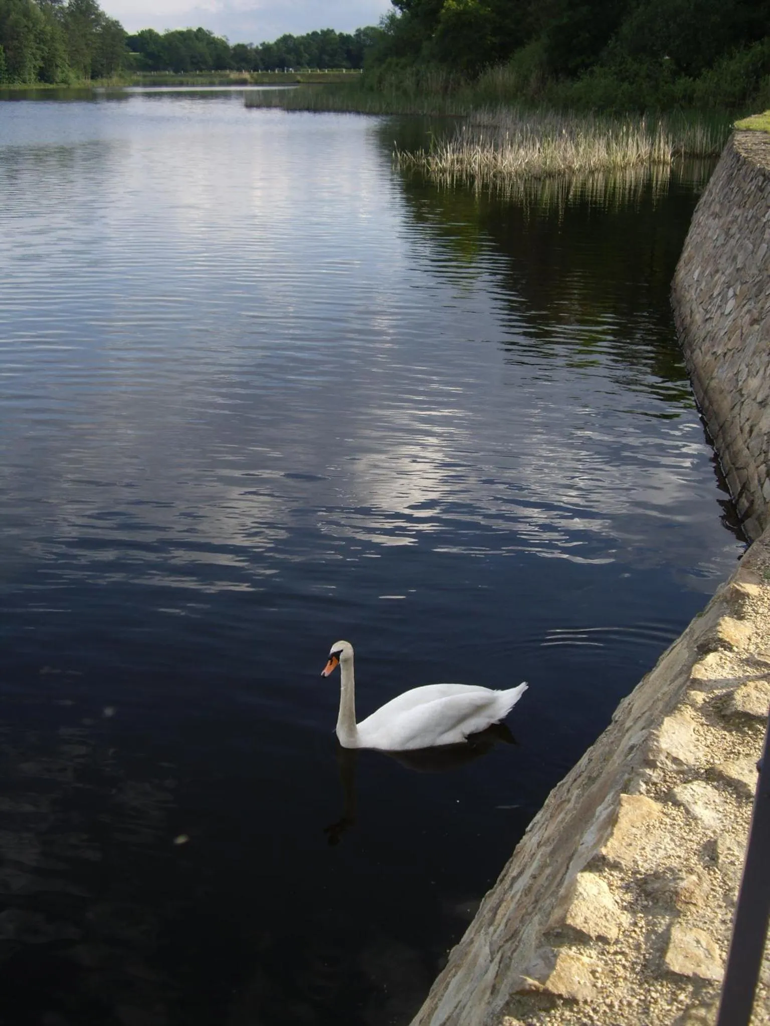 Property building in Eisenberger Hof