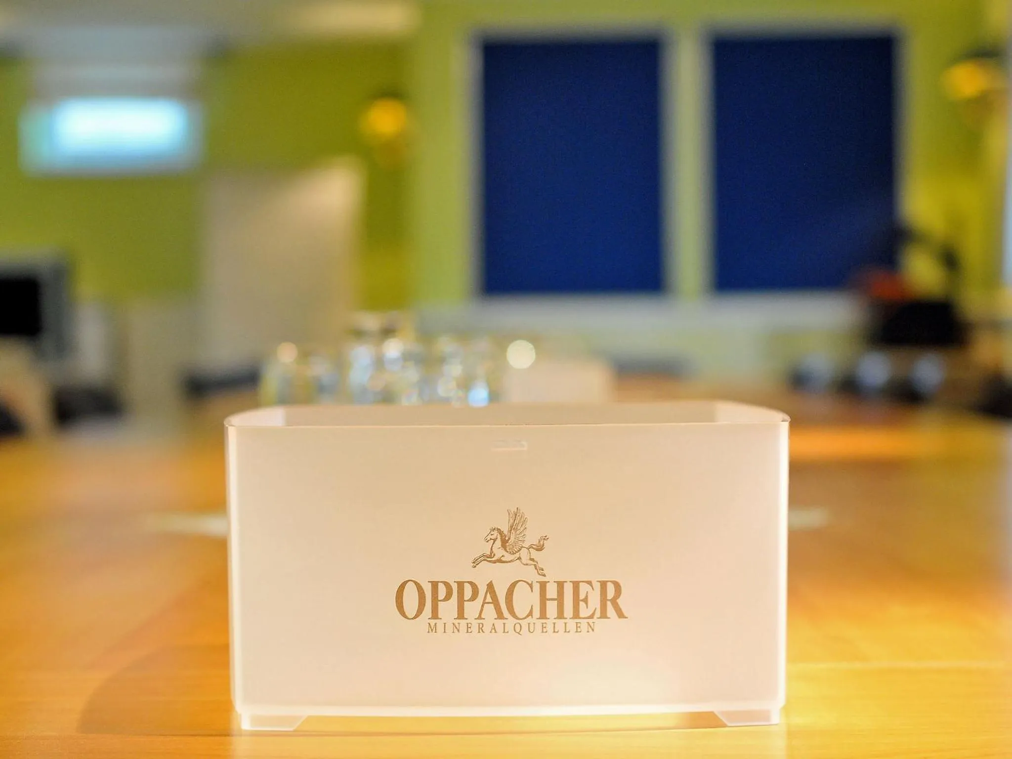 Meeting/conference room in Eisenberger Hof