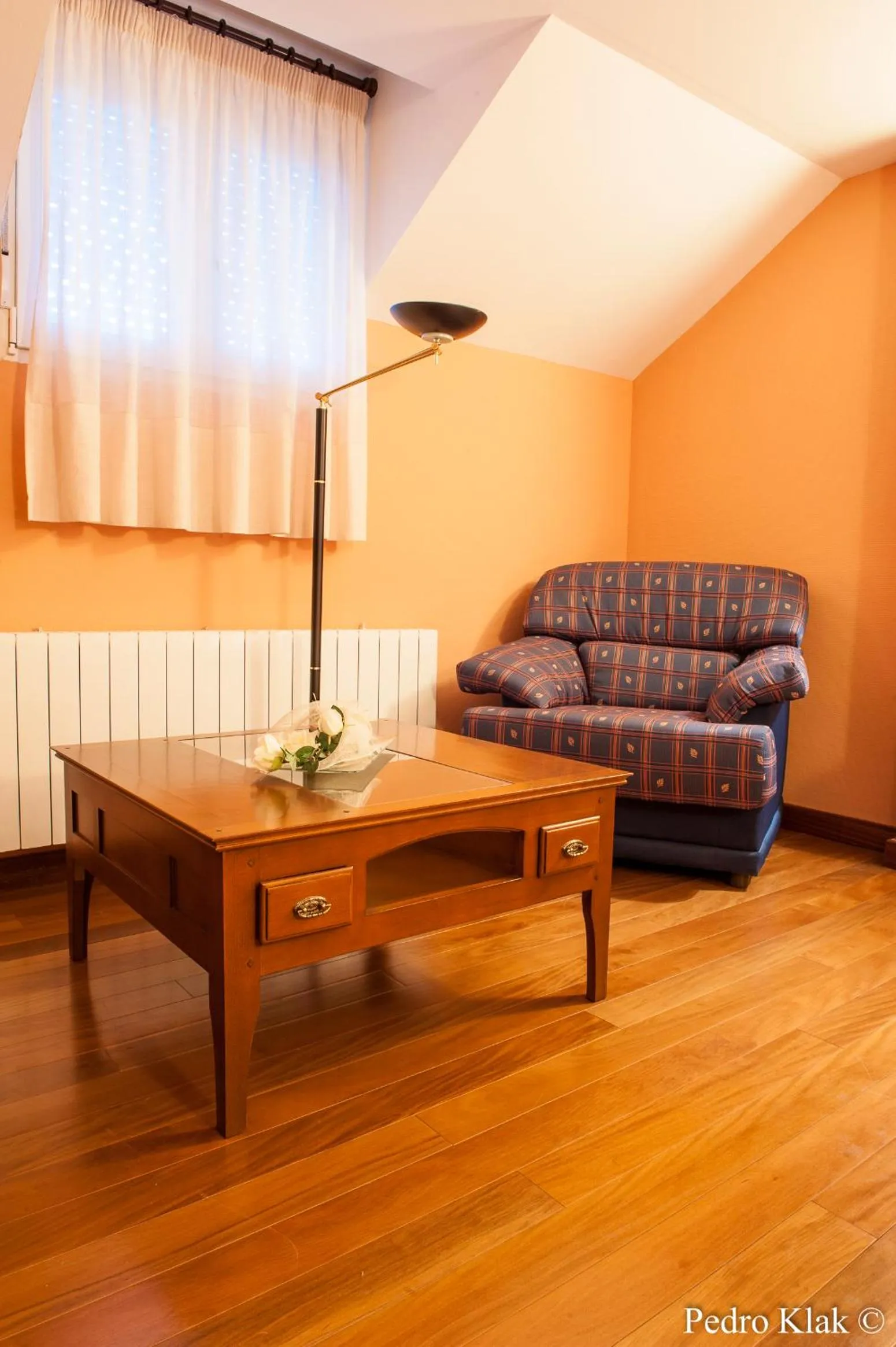 Decorative detail in Habitaciones Premium Finca la Casona