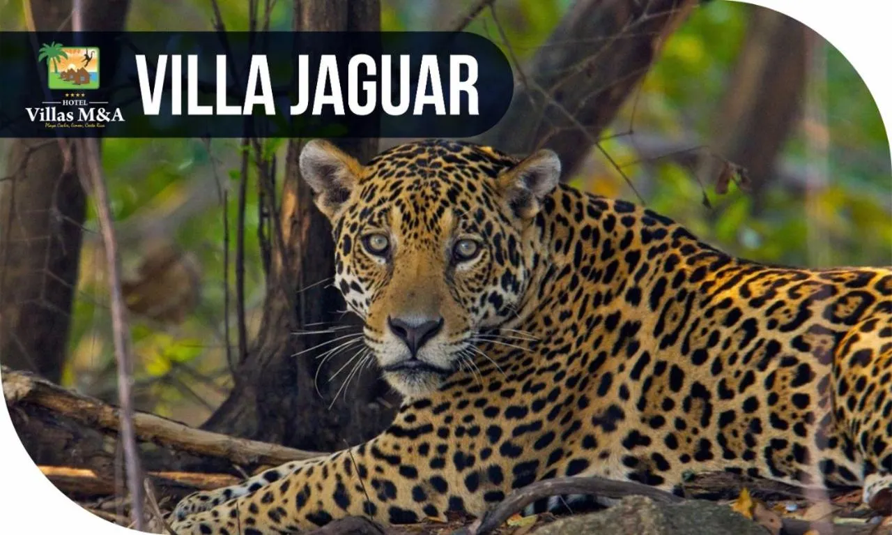 HOTEL, VILLAS y GLAMPINGS MYA -PUERTO VIEJO, Limon, CR