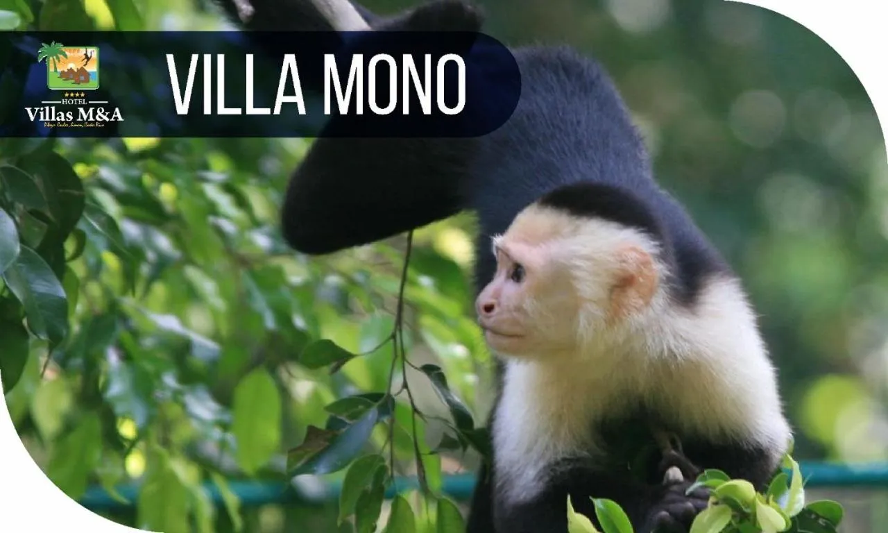 HOTEL, VILLAS y GLAMPINGS MYA -PUERTO VIEJO, Limon, CR