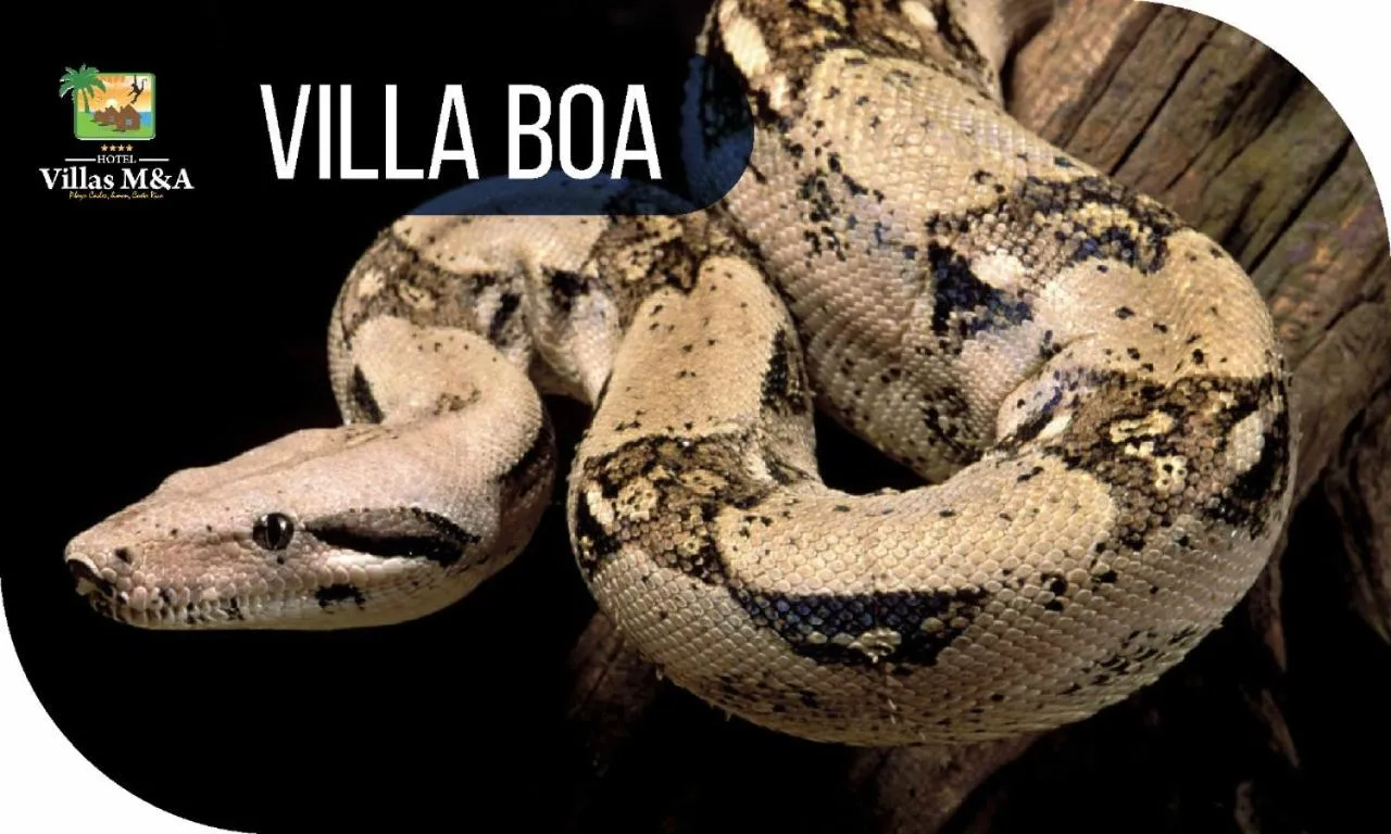 HOTEL, VILLAS y GLAMPINGS MYA -PUERTO VIEJO, Limon, CR