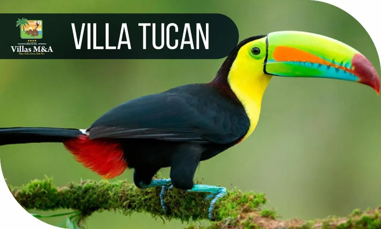 HOTEL, VILLAS y GLAMPINGS MYA -PUERTO VIEJO, Limon, CR