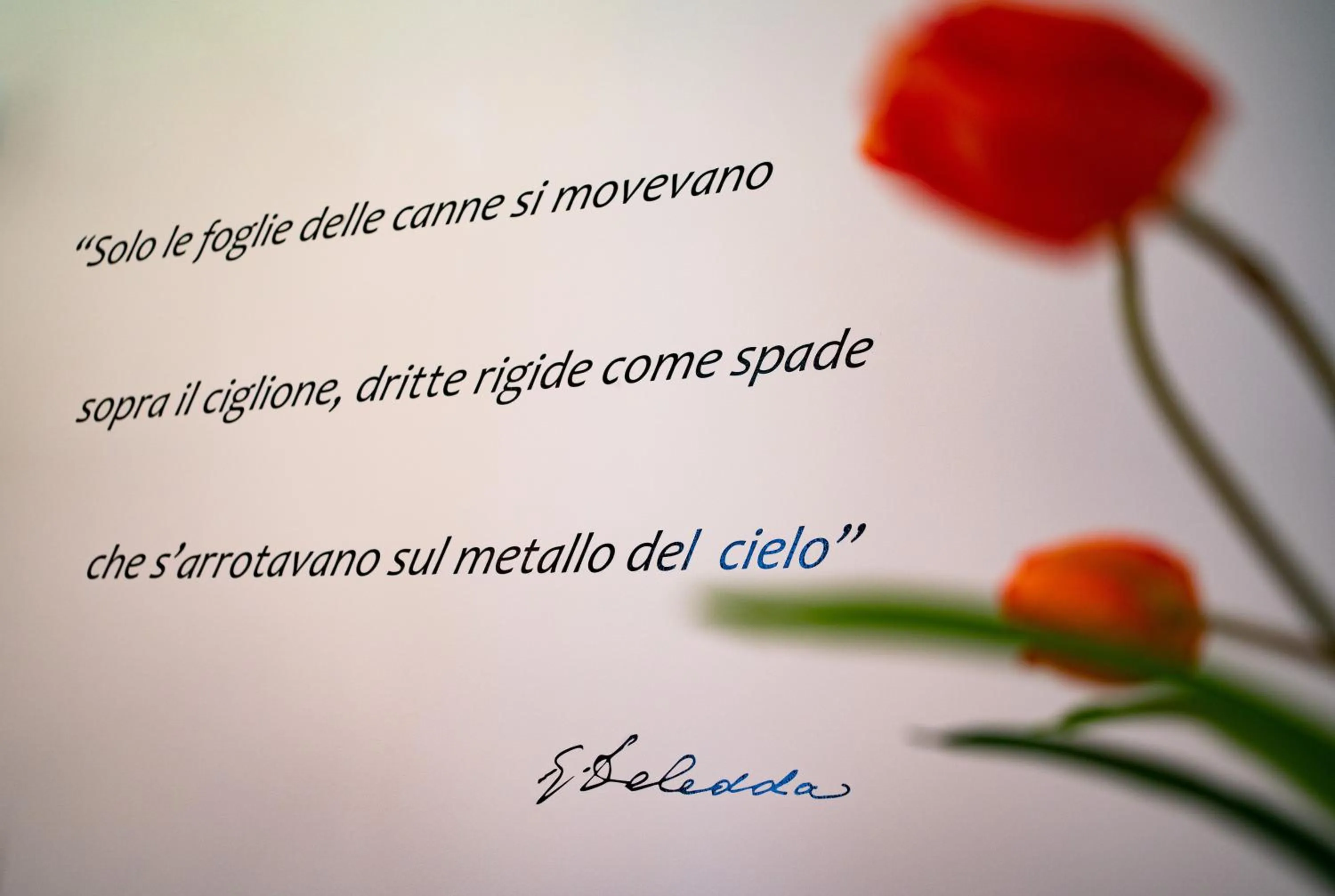 Bedroom in L' Angolo dei poeti - Bed and Breakfast