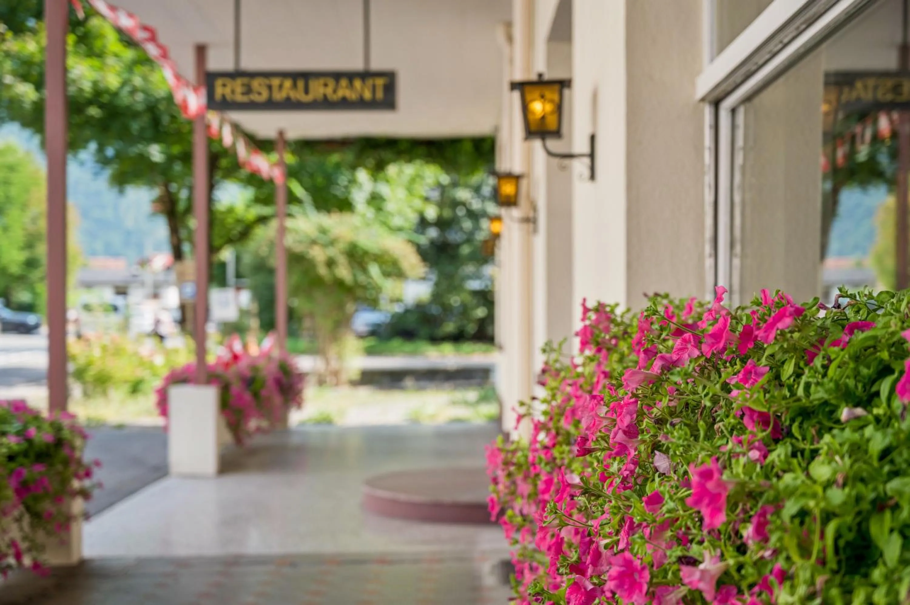 Restaurant/places to eat in Hotel Sonne Interlaken-Matten