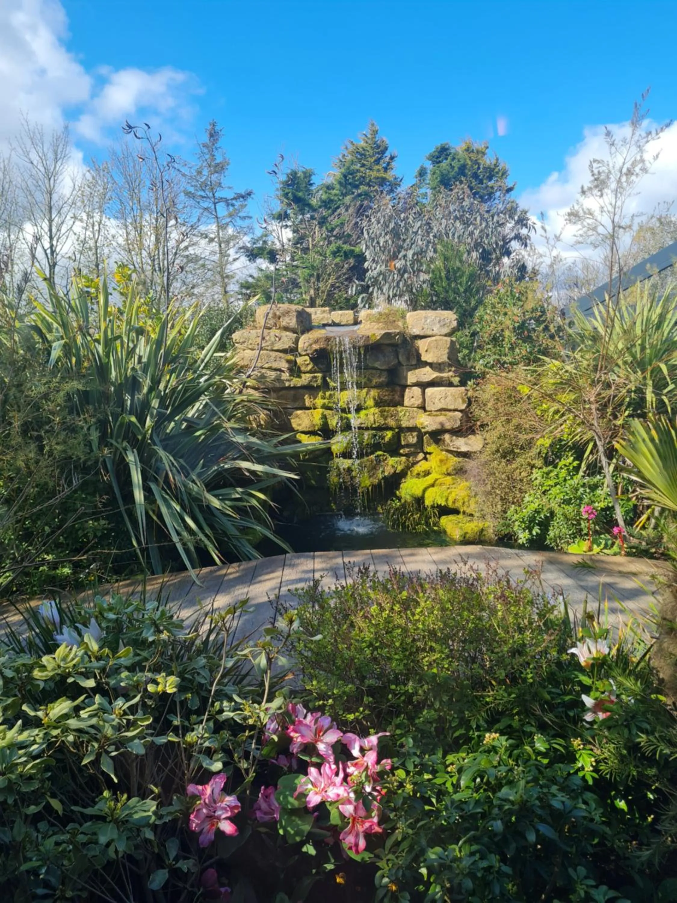 Garden in Newton Hall
