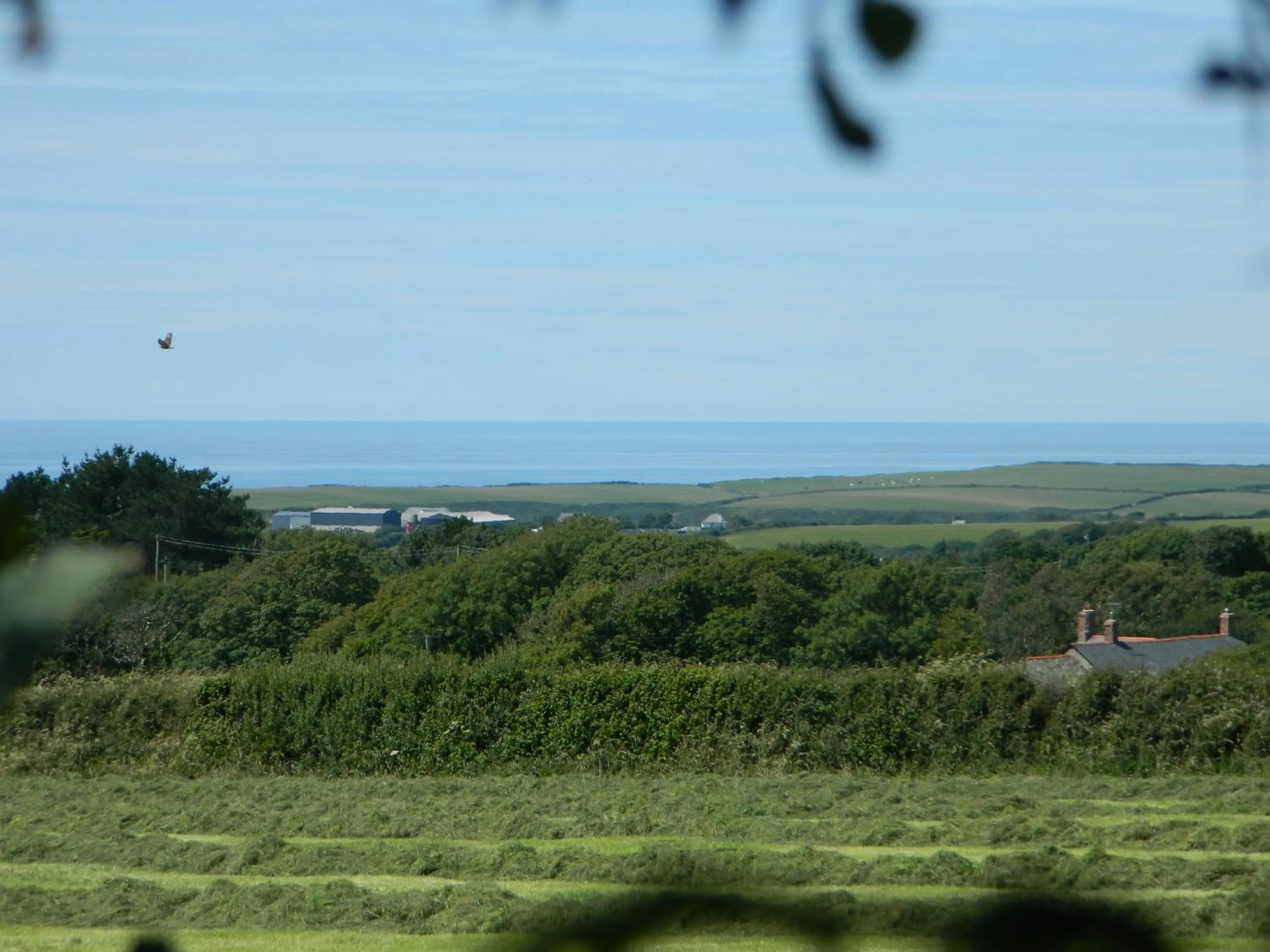Garden view in West Point B&B