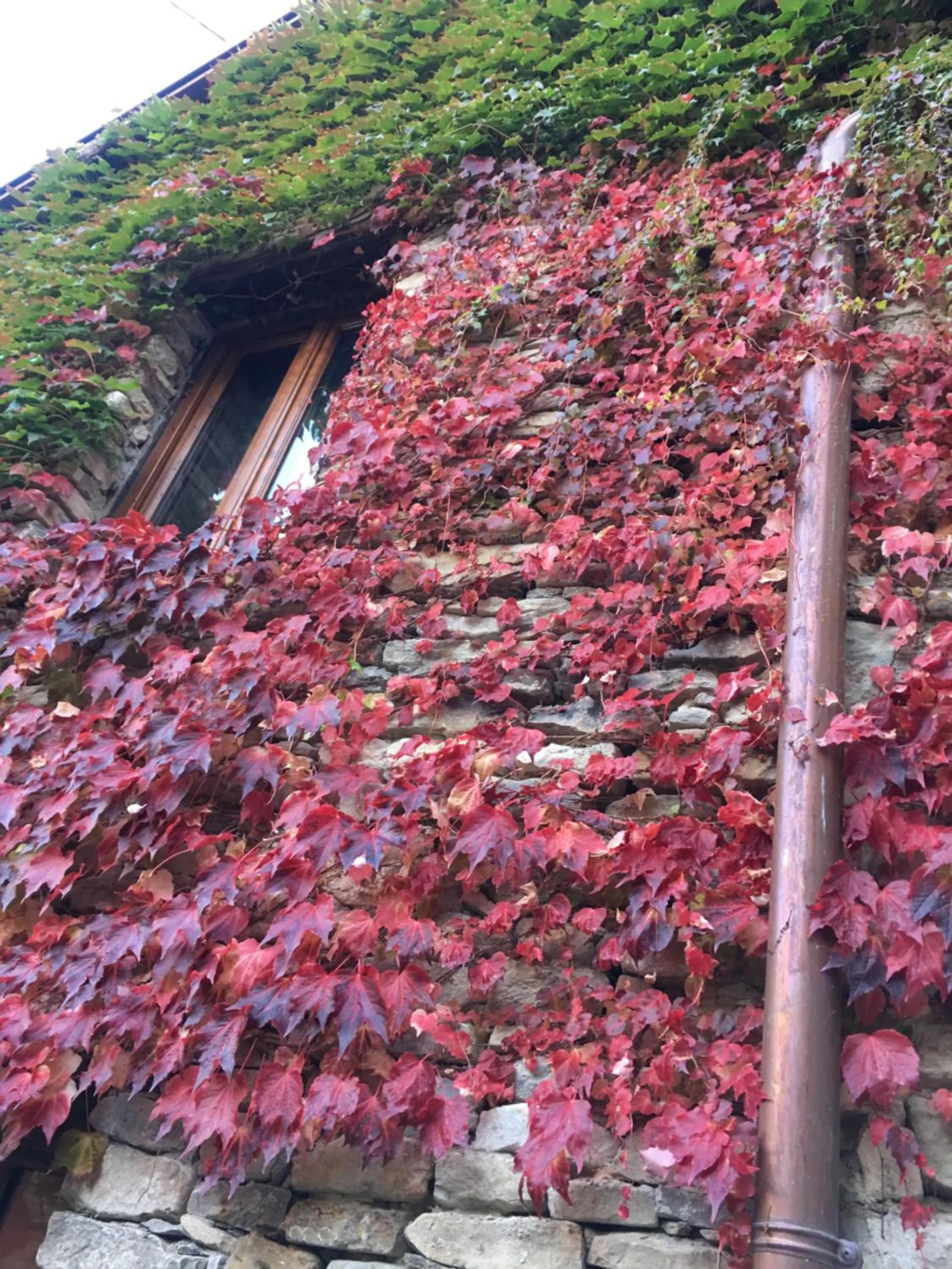 Number 10 Locanda B&B