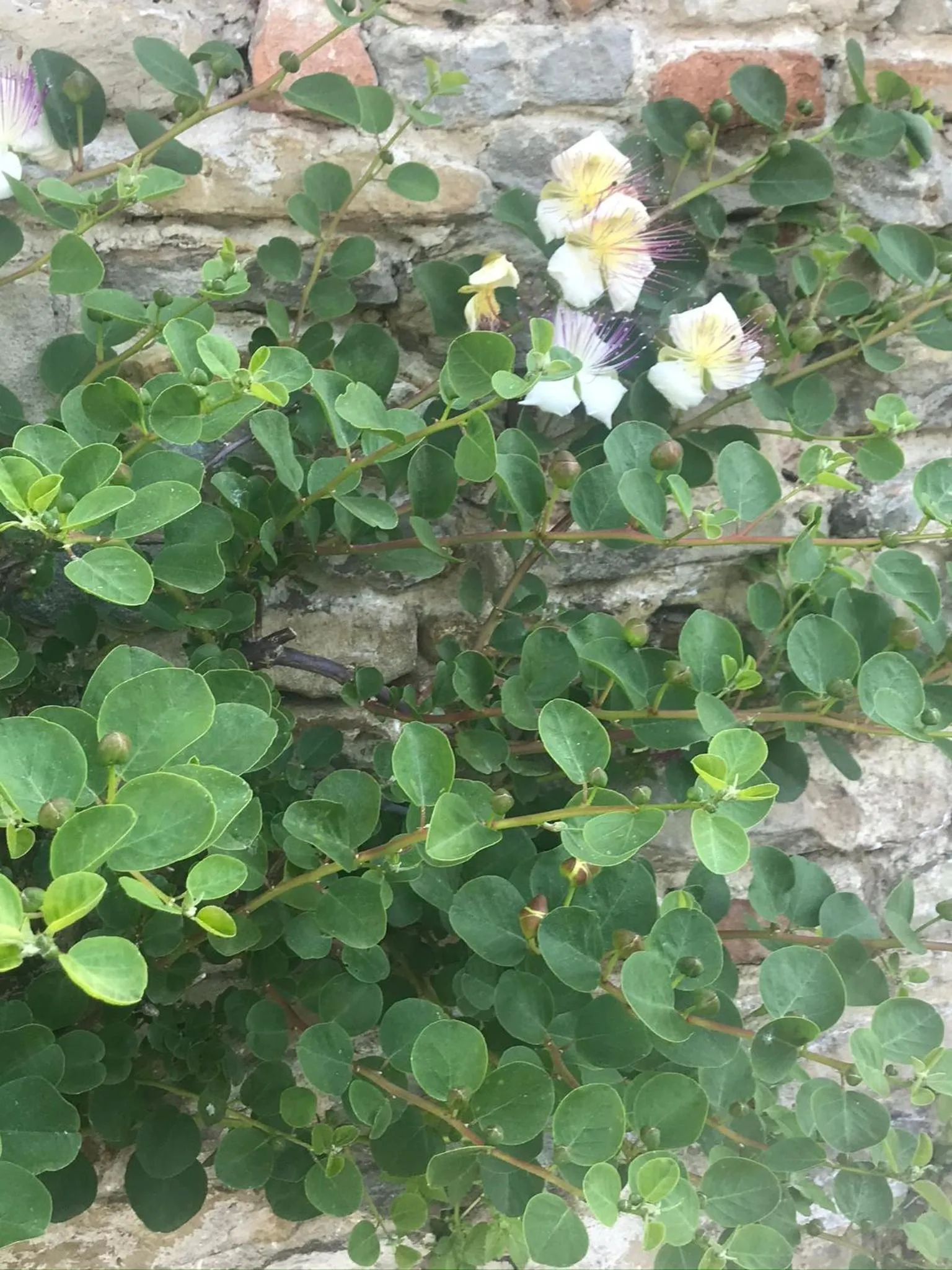 Number 10 Locanda B&B