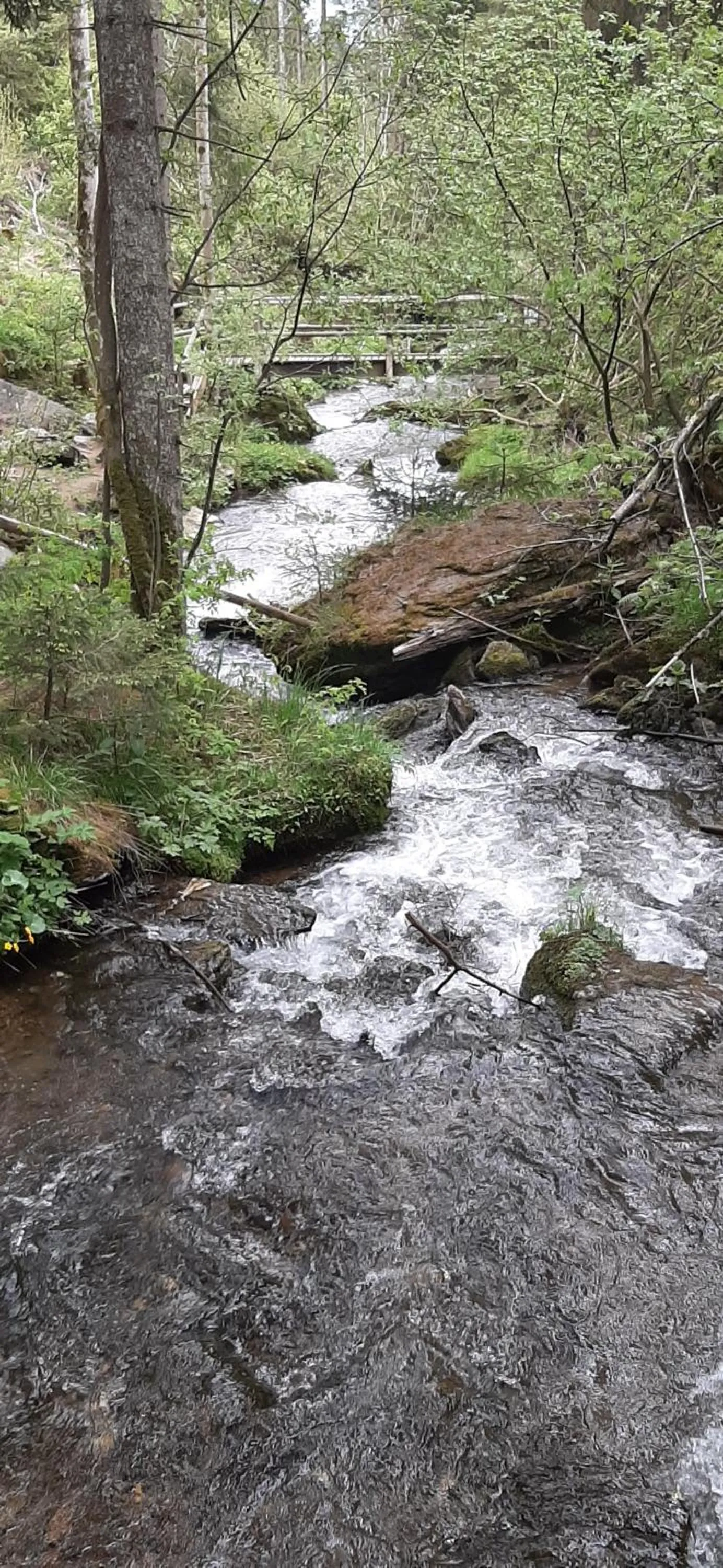 Fruhstuckspension Bischof i d Wiesen