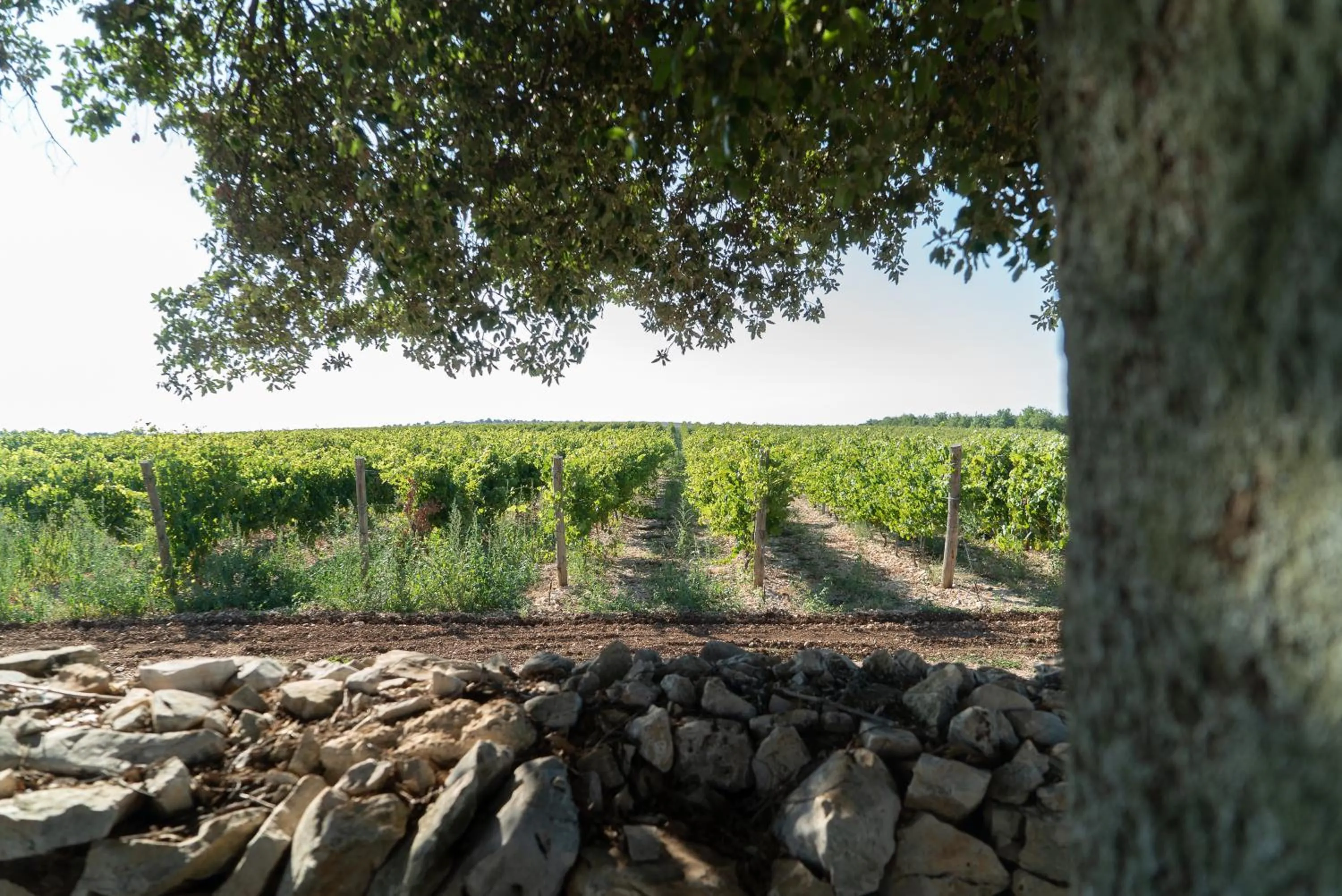 Day in Le Masserie Zucaro