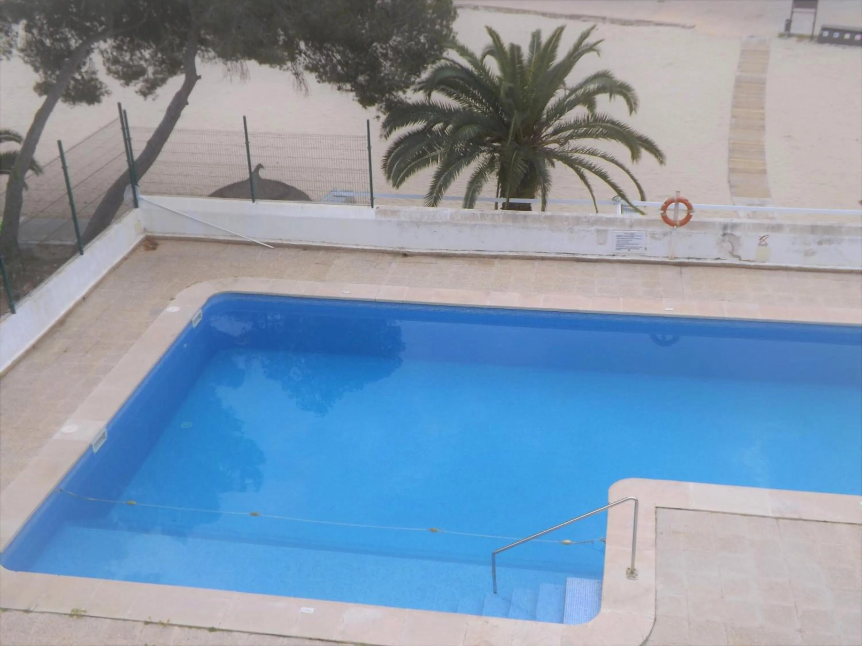 Swimming pool in Bungalow Playa d'Or, 2