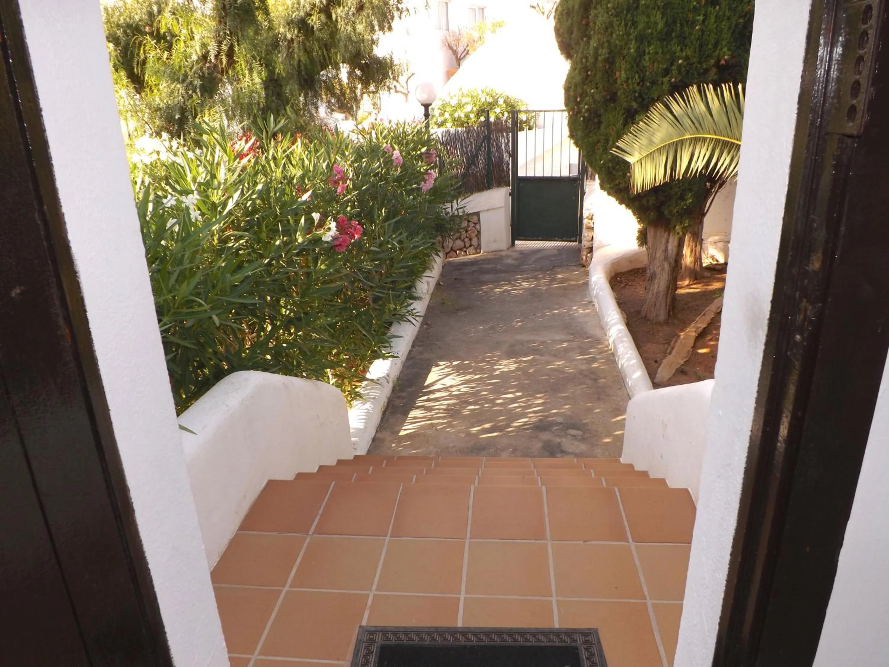 Garden in Bungalow Playa d'Or, 2