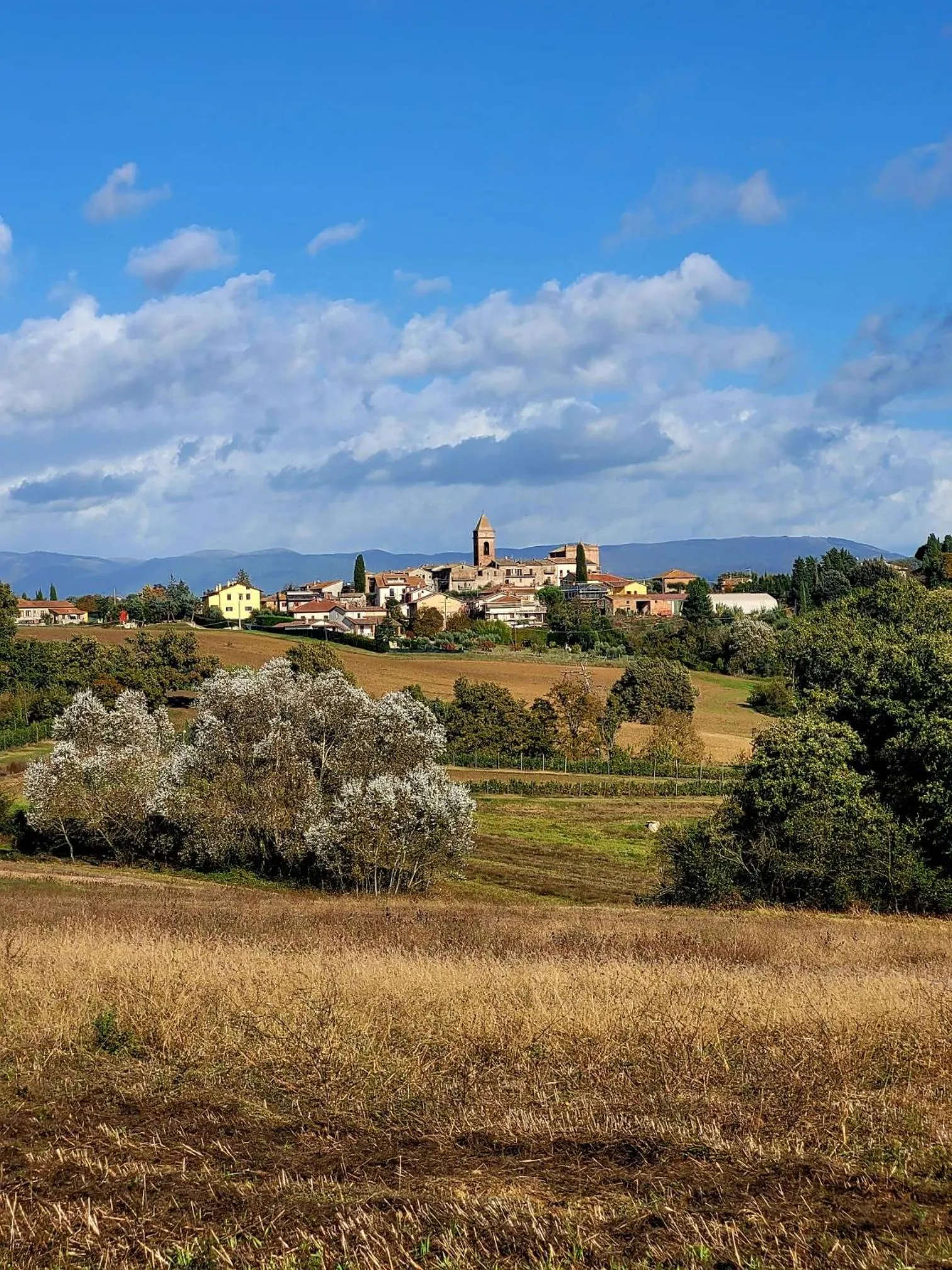 Landmark view in Dolce Farnetta en-Suite Spa & Yoga