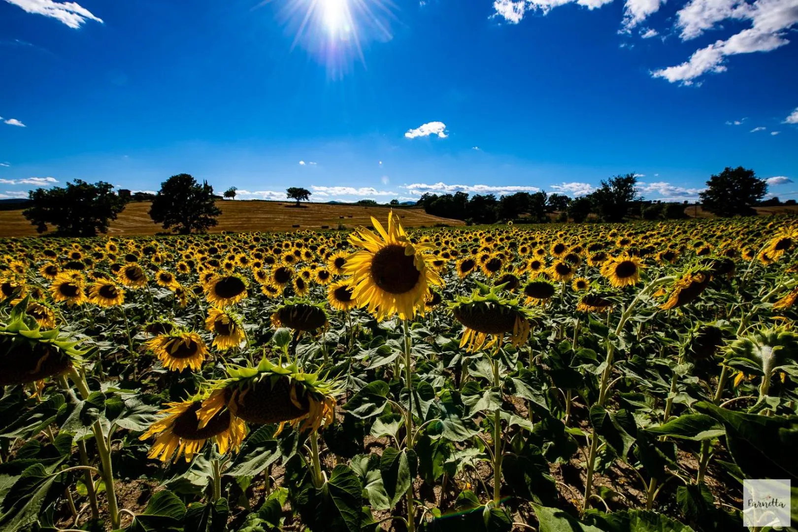 Day in Dolce Farnetta en-Suite Spa & Yoga