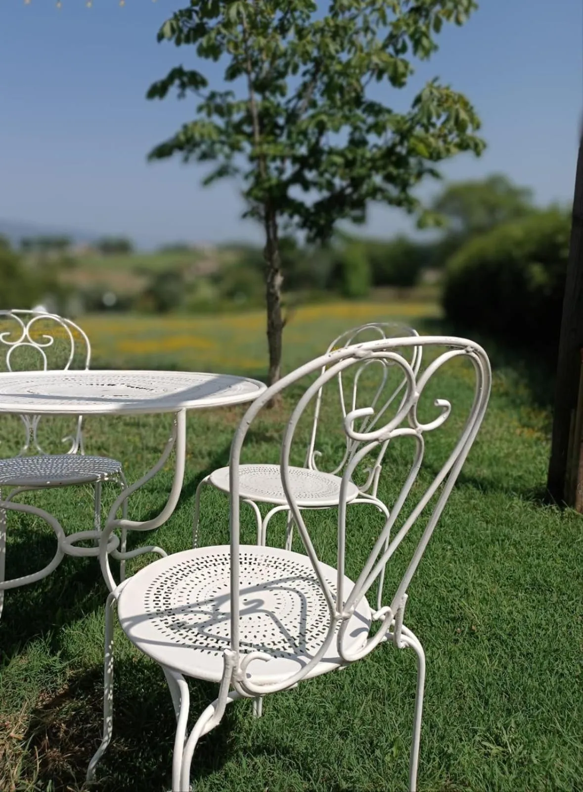 Garden in Dolce Farnetta en-Suite Spa & Yoga