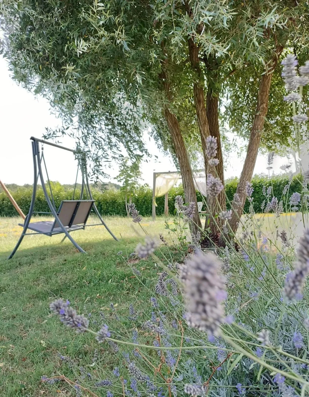 Activities in Dolce Farnetta en-Suite Spa & Yoga