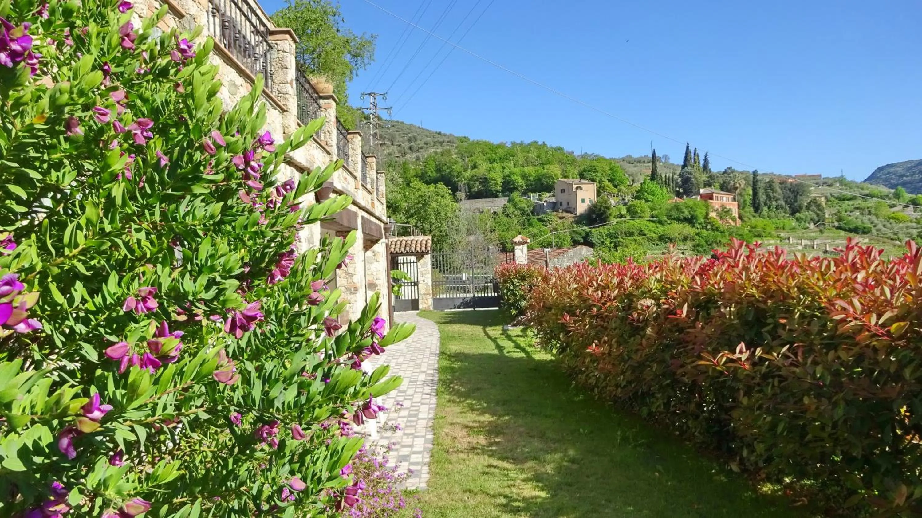 Garden in L'Allegra Brigata
