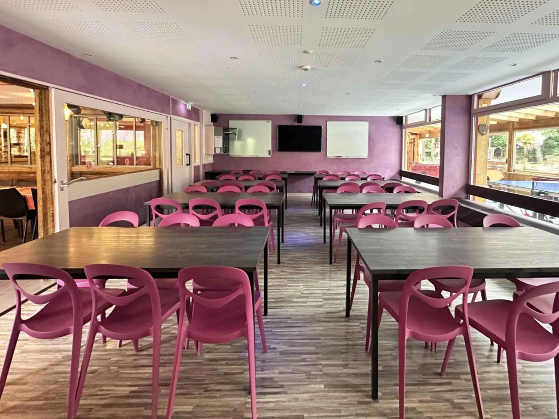 TV and multimedia in Auberge de Jeunesse HI Le Mont-Dore