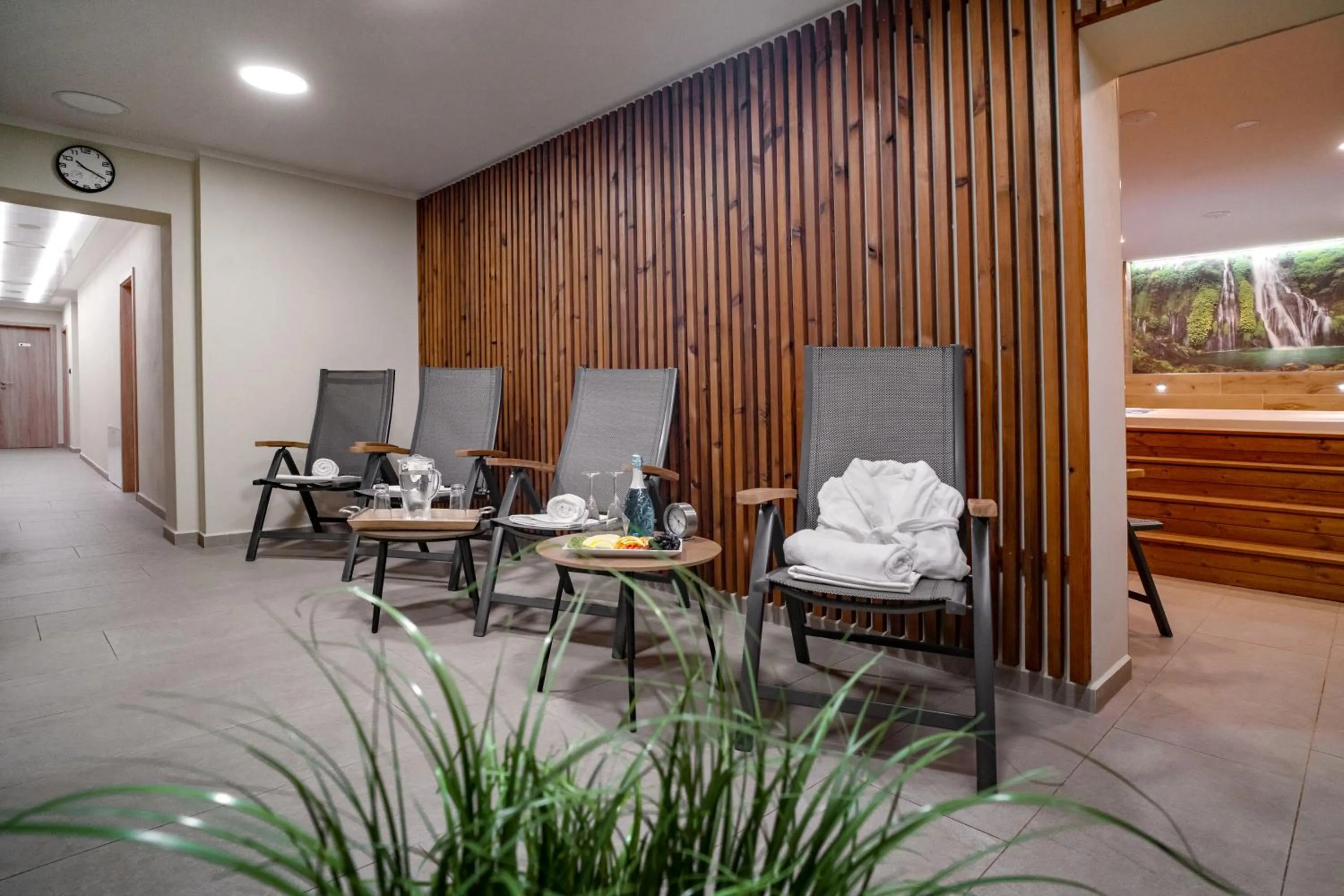 Spa and wellness centre/facilities in Hotel Smrž