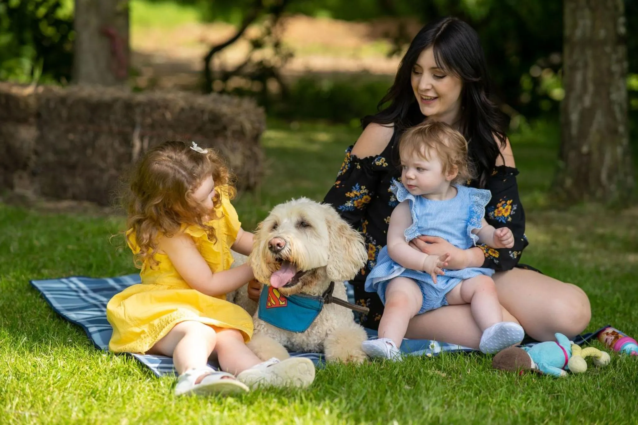 View (from property/room) in Rising Sun Pub, Restaurant and Rooms