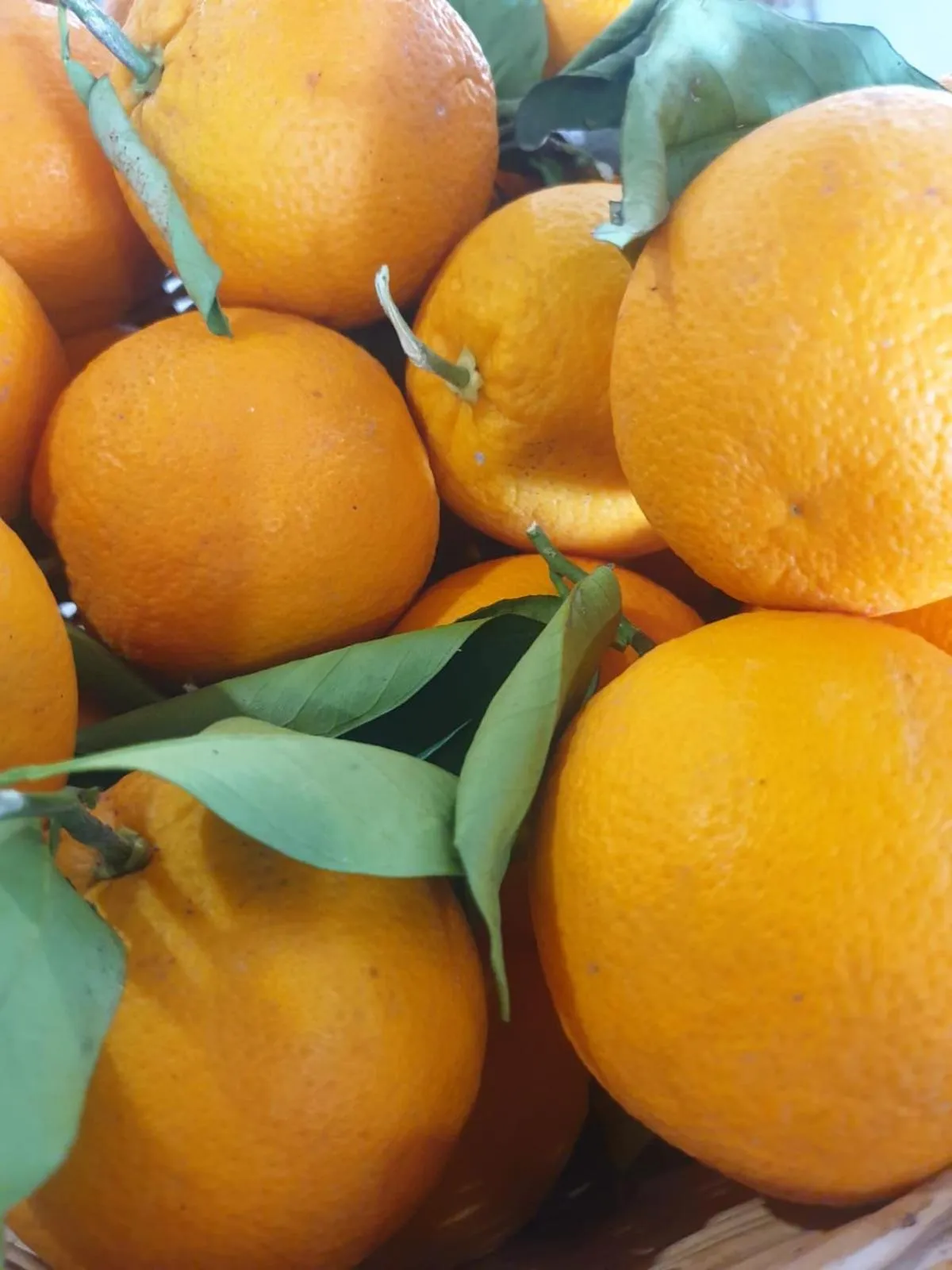 Breakfast in Riviera Seaside Hotel by Estia