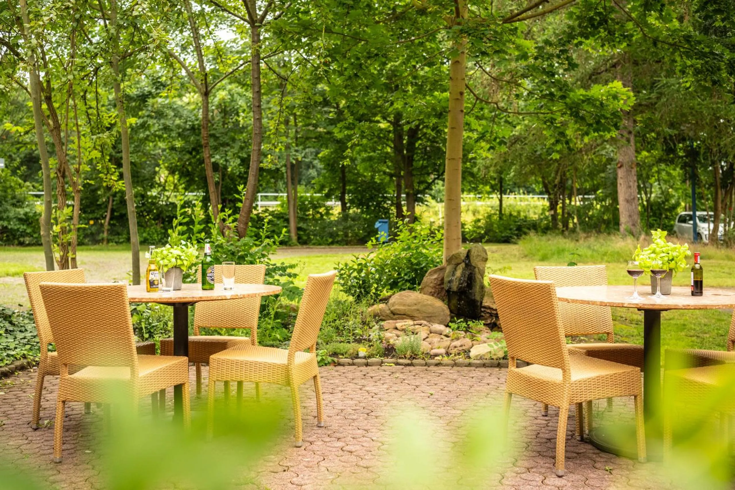 Garden in Kassel Ost