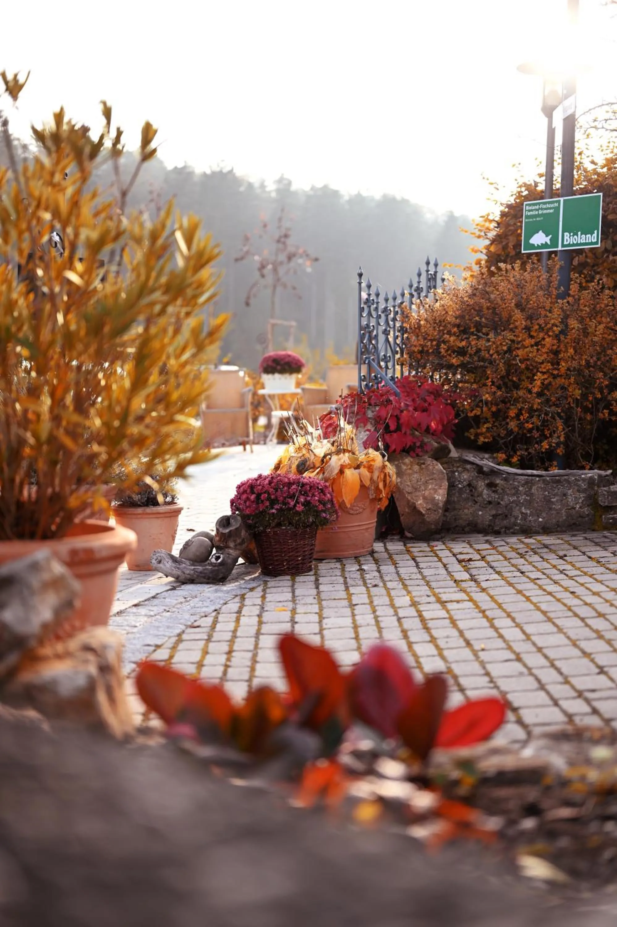 Garden in Altes Kurhaus Landhotel