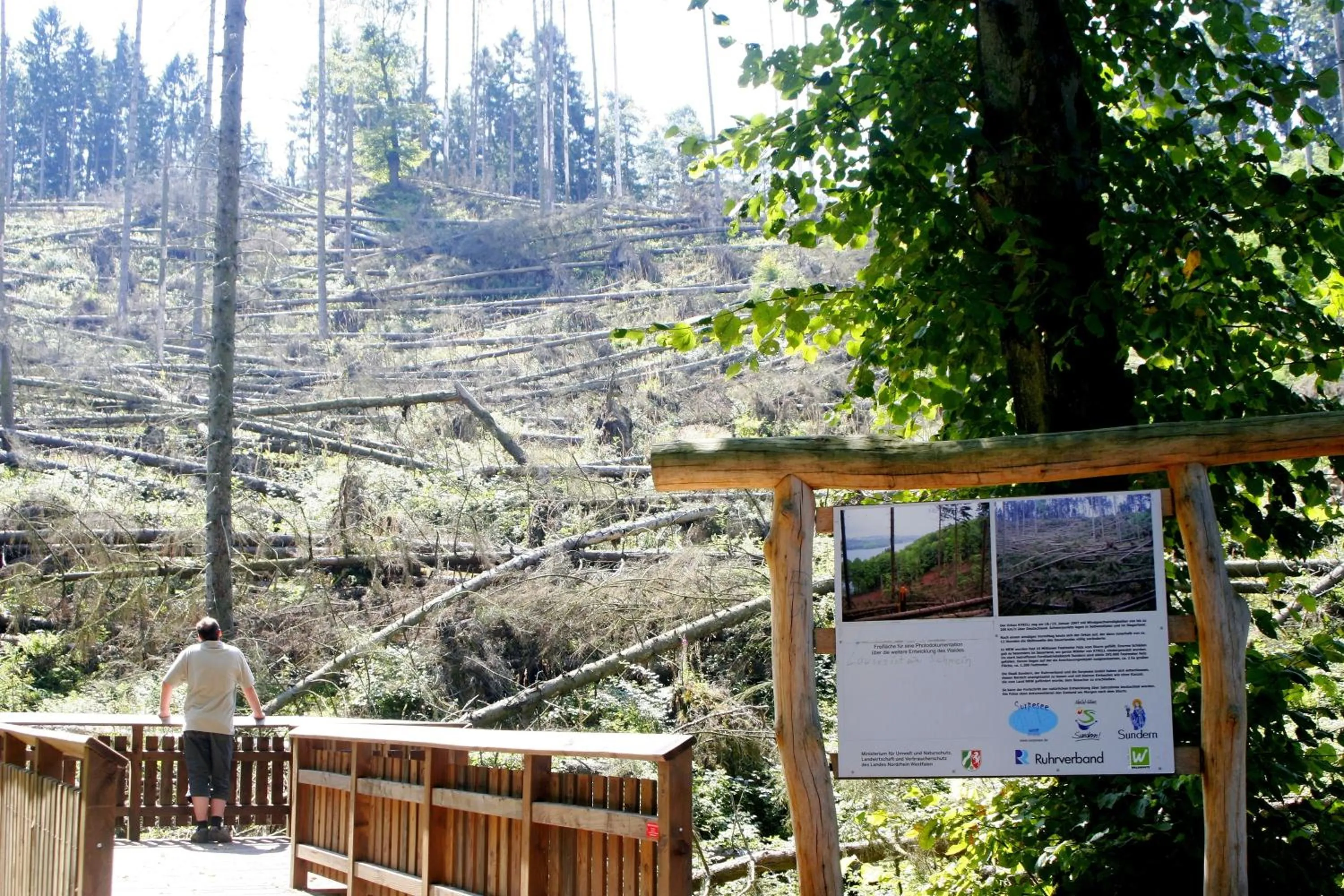 Hiking in Hotel Seegarten