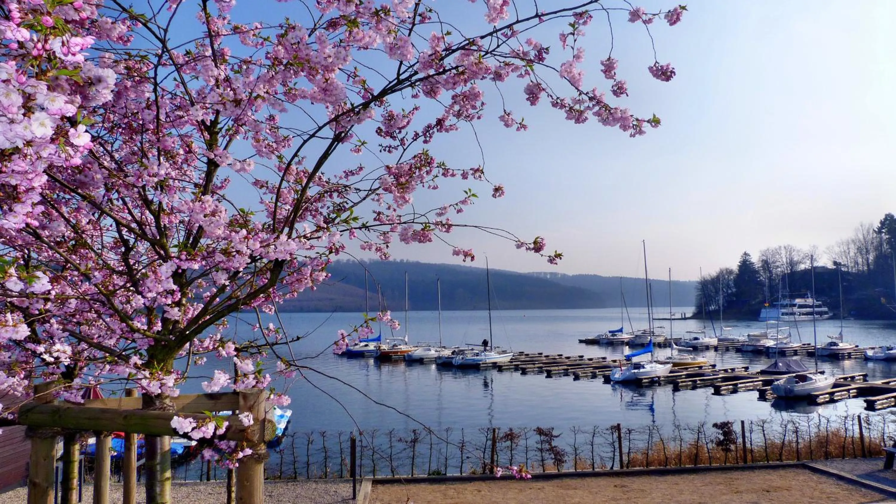 Area and facilities in Hotel Seegarten