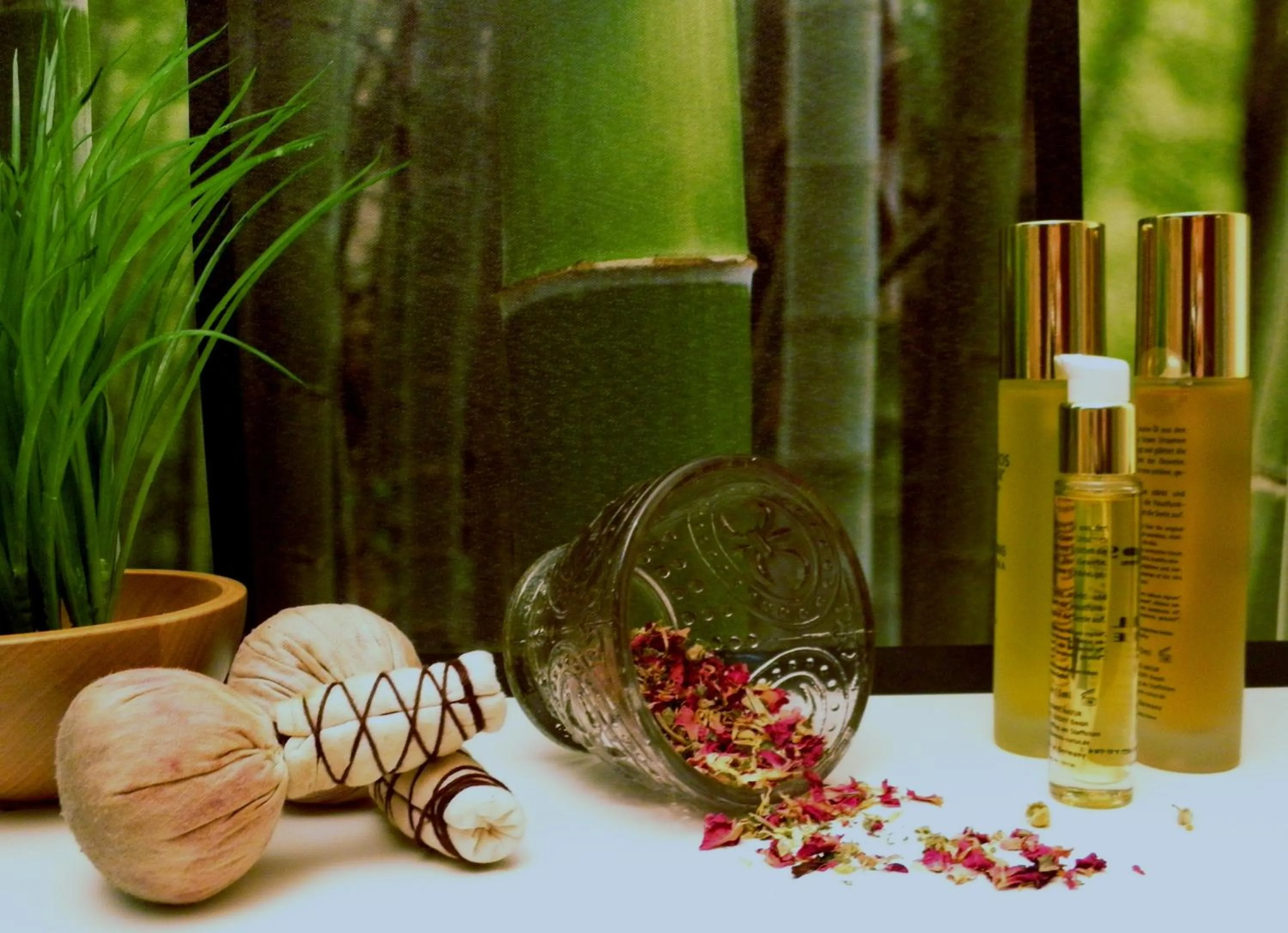 Spa and wellness centre/facilities in Parkhotel Helene