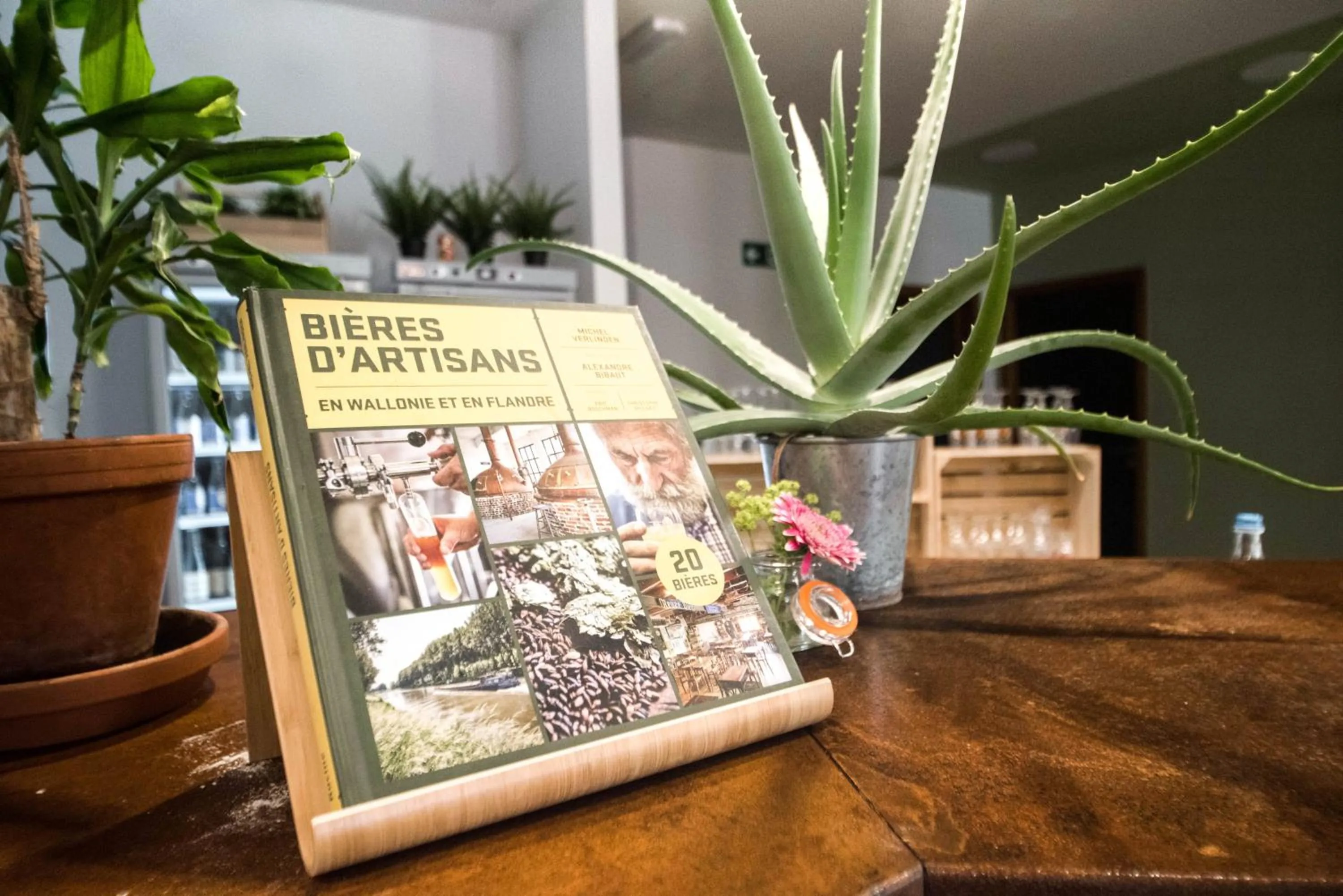 Lobby or reception in Liège Youth Hostel