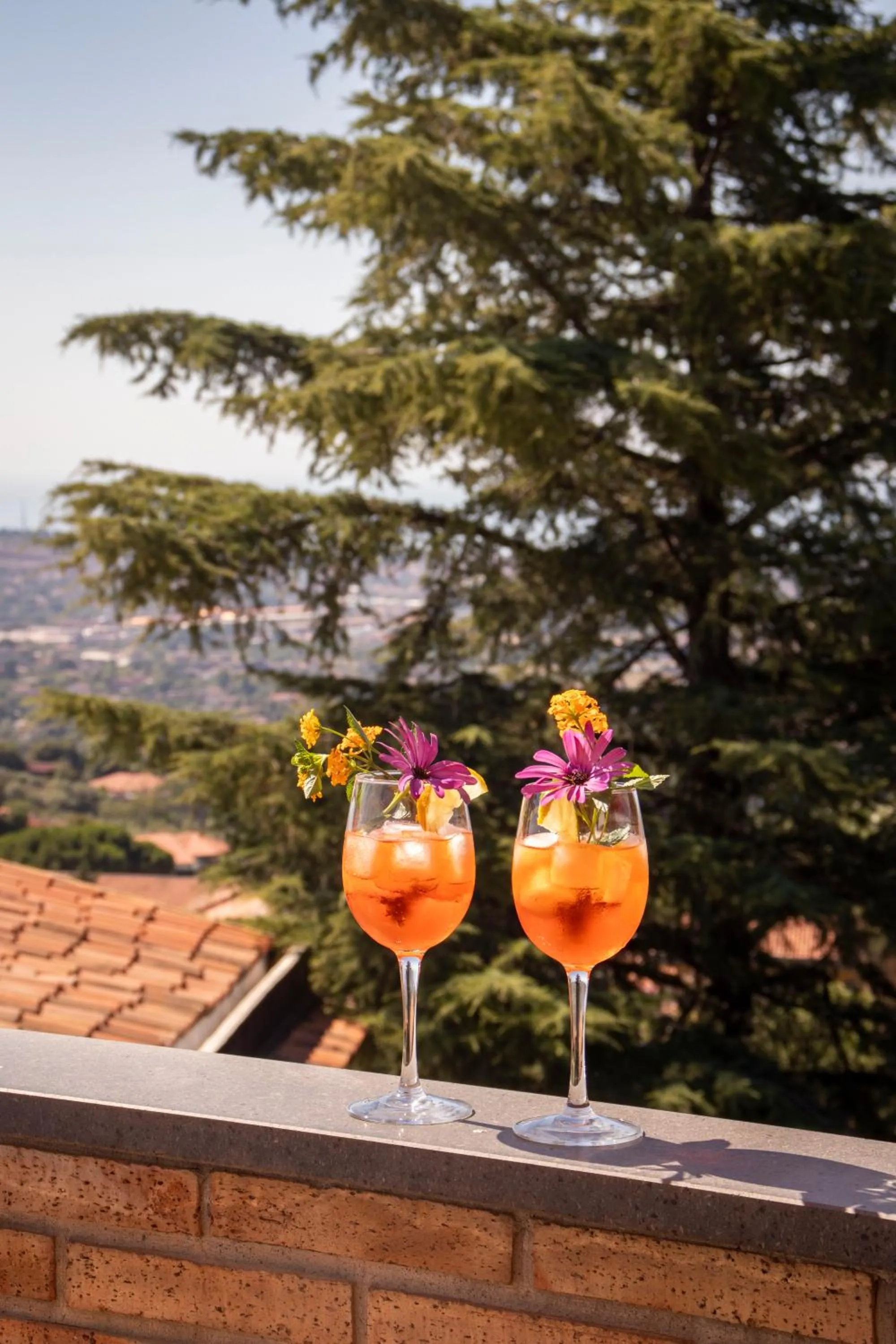 View (from property/room) in Etna Royal View