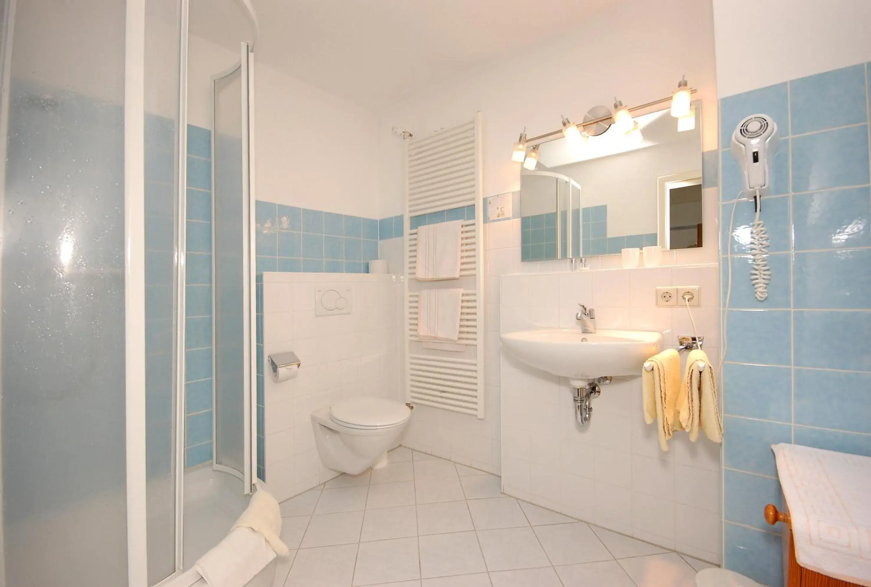 Double Room - single occupancy in Hotel Hirschen Double Room - single occupancy in Hotel Hirschen