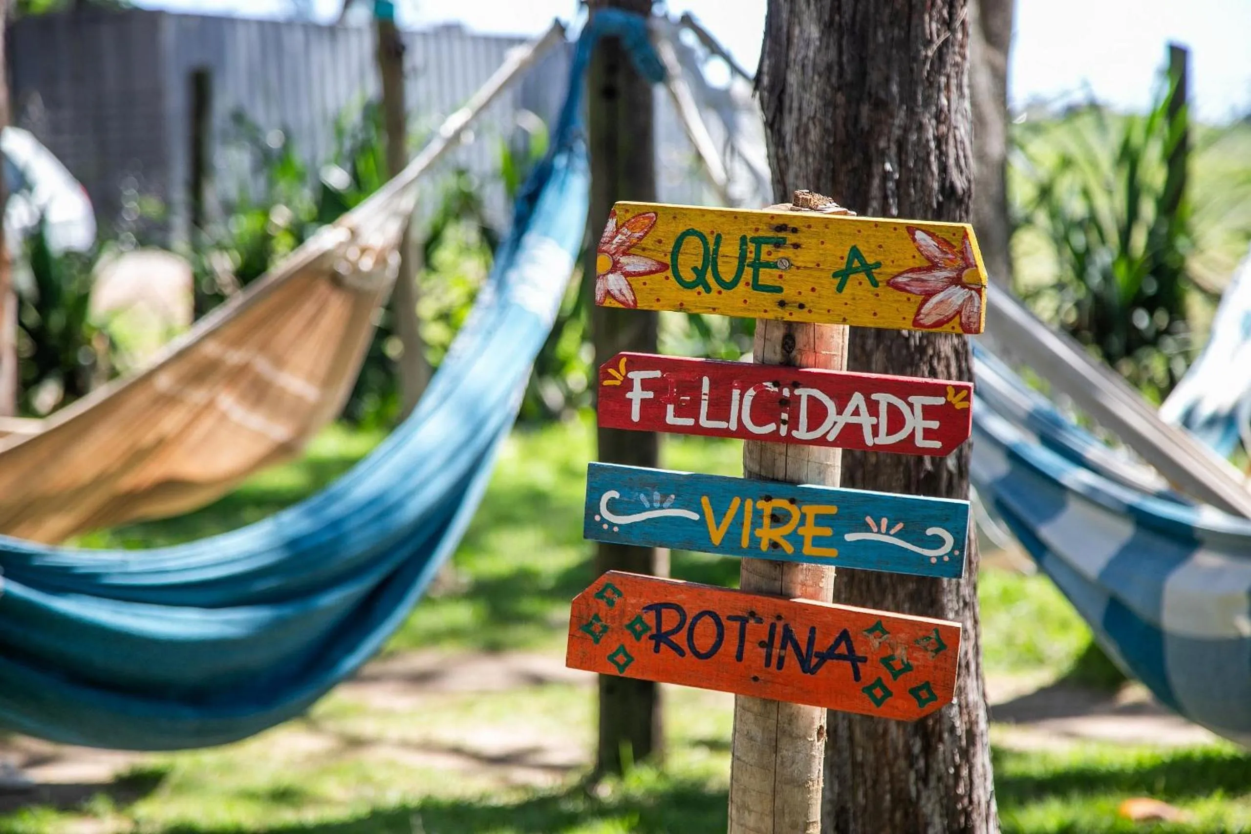 Other in Flat Barra First